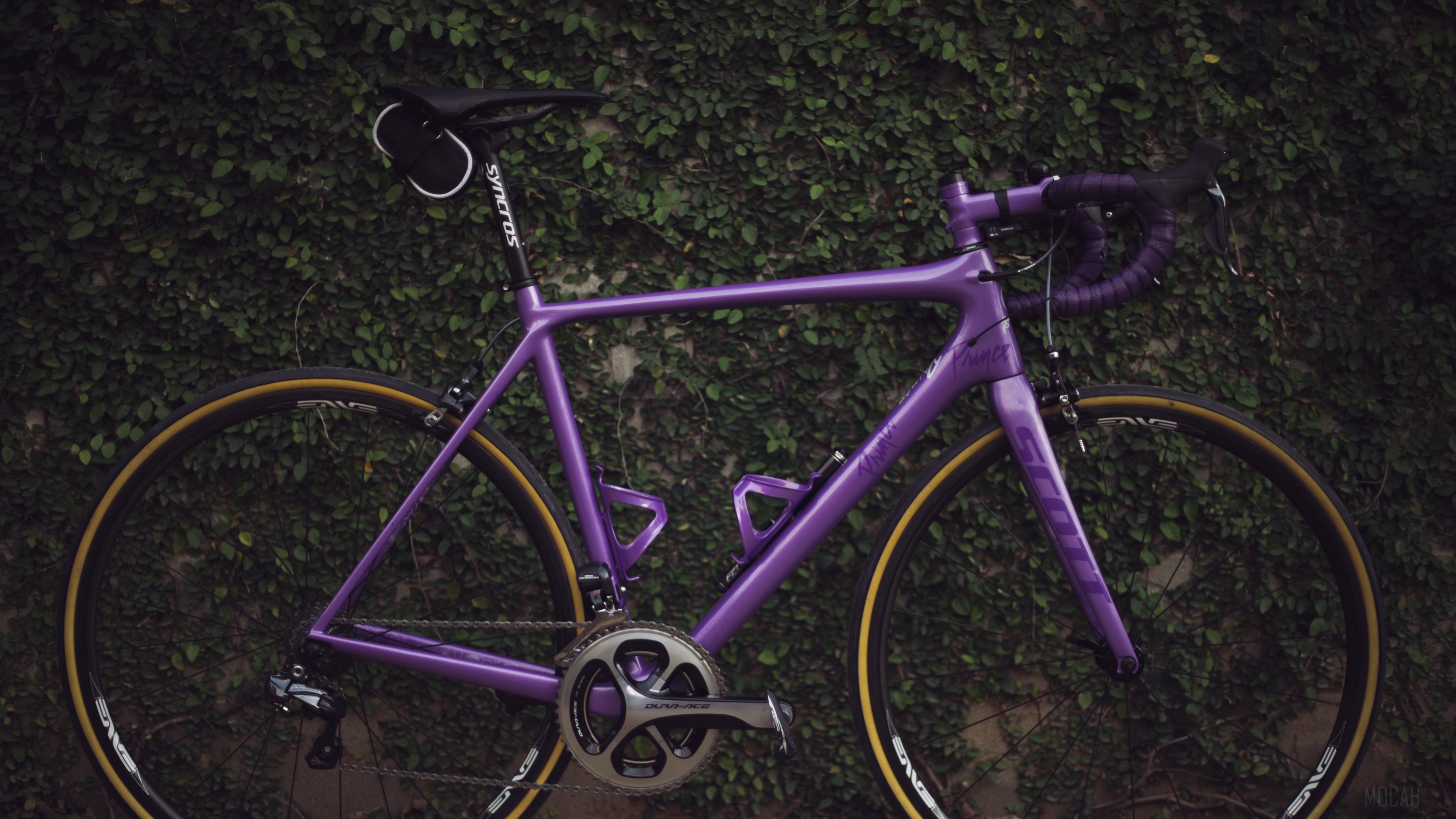 Purple Scott Road Bike with Green Bushes HD Wallpaper