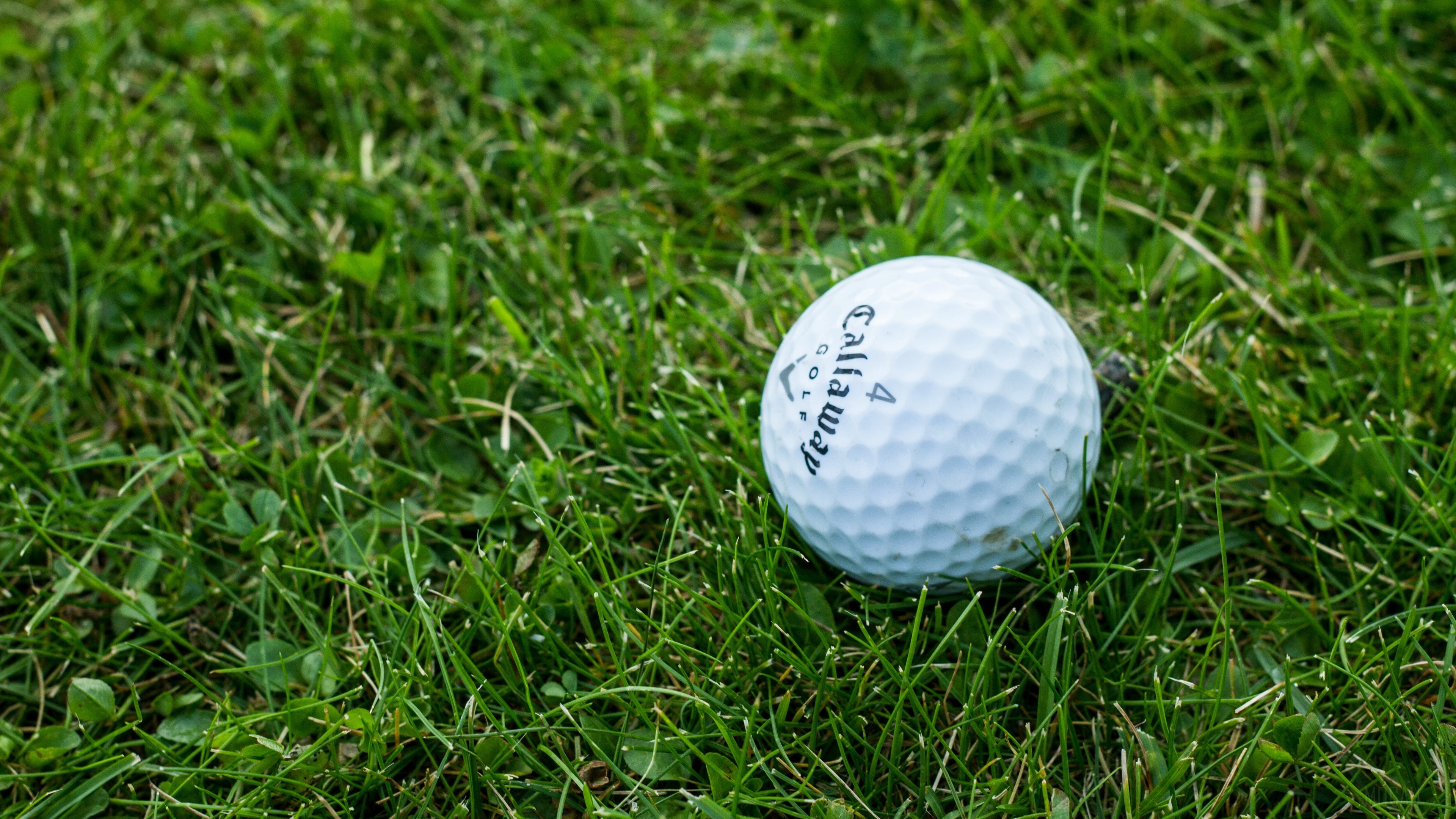 Callaway Golf Ball on Grass 4K HD Wallpaper