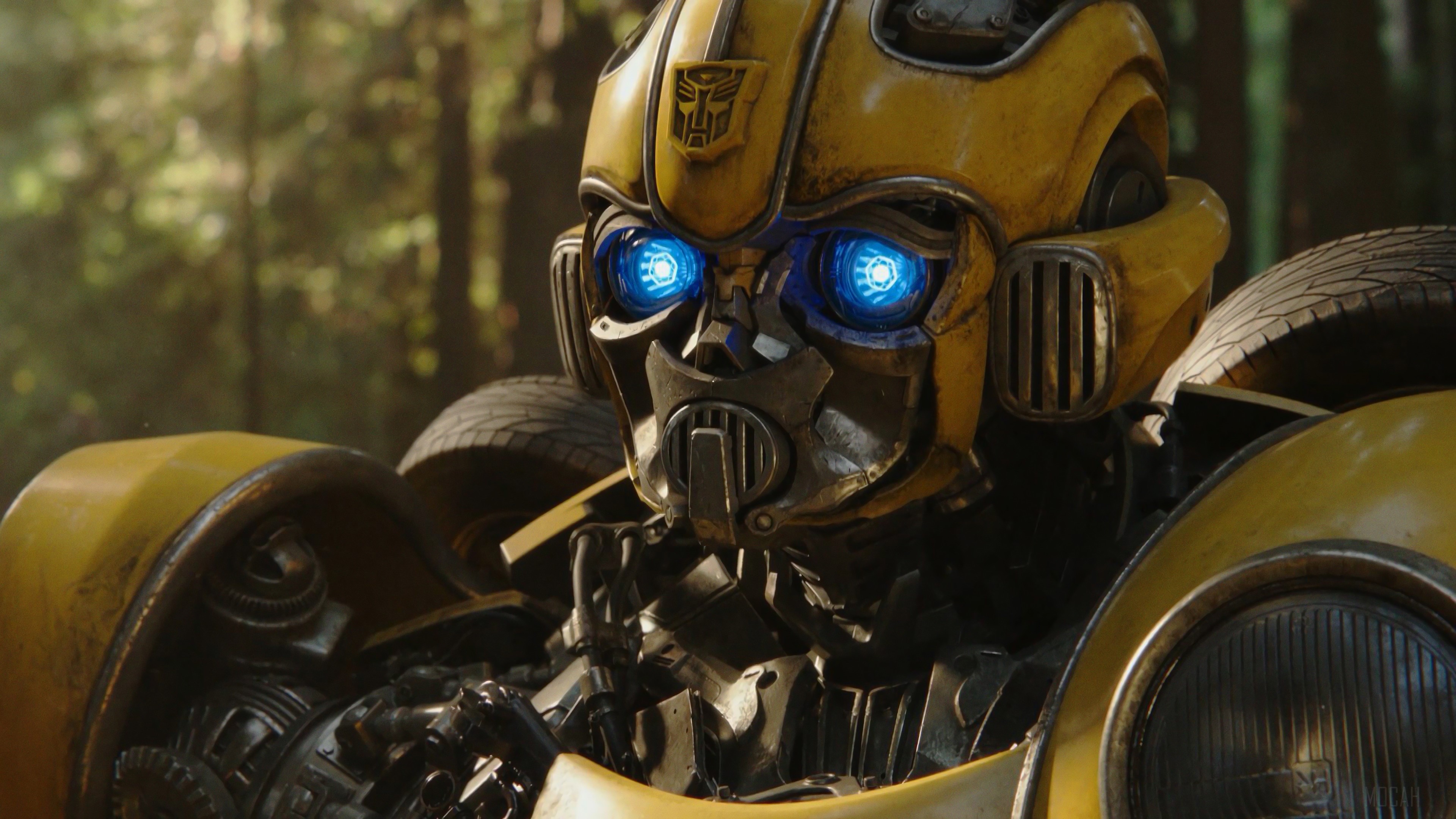 Bumblebee from Transformers 4K HD Wallpaper