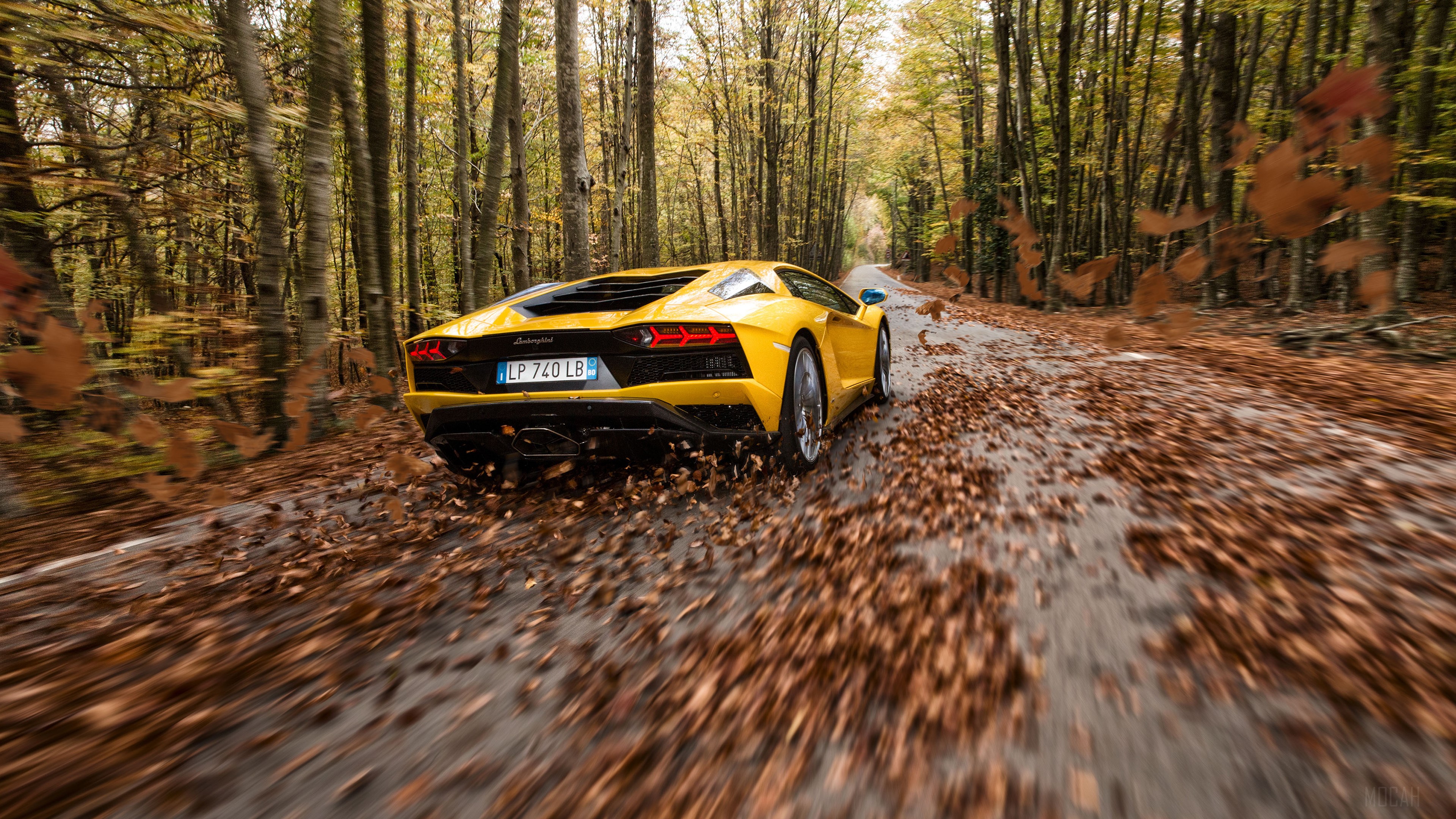 Yellow Lamborghini Aventador S on a leaf-covered road HD Wallpaper