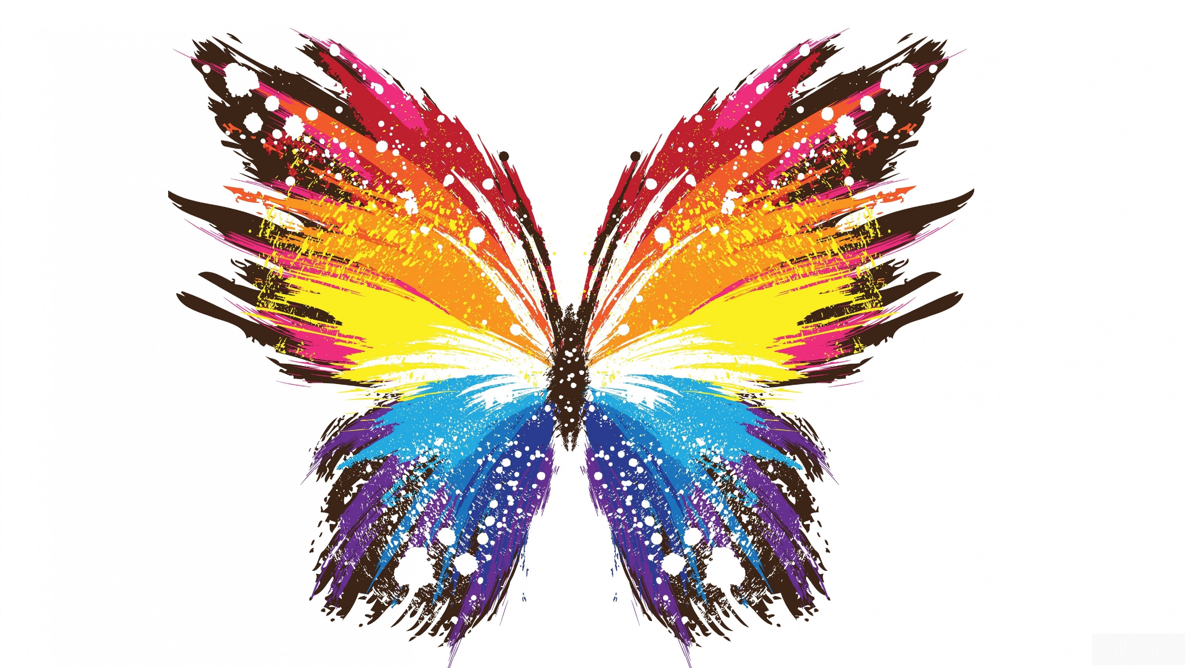 Abstract Colorful Butterfly 4K HD Wallpaper