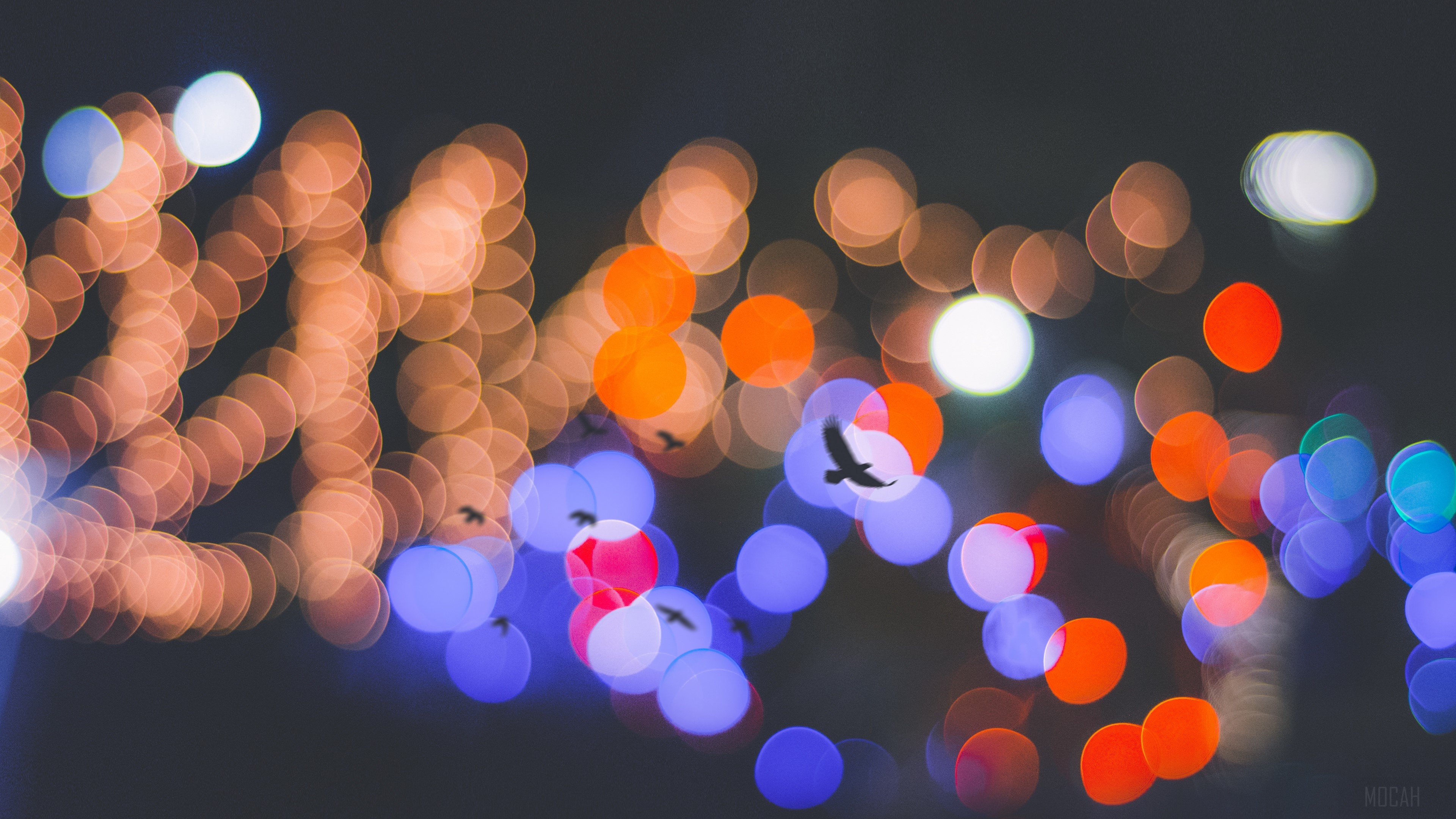 Bokeh lights and bird silhouettes 4K HD Wallpaper