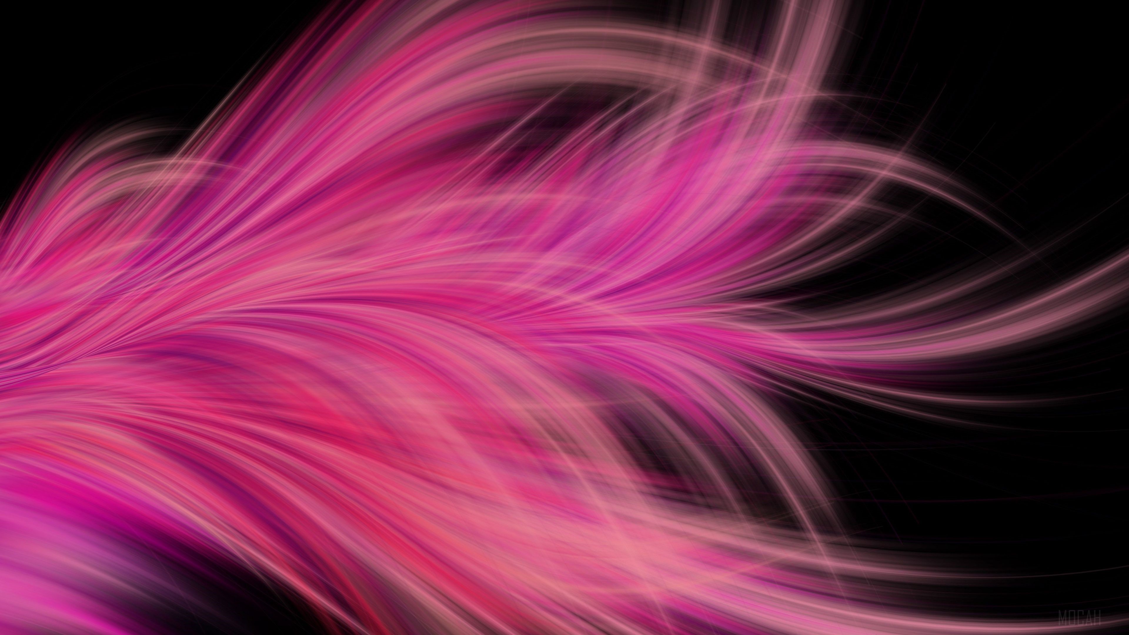 Pink Fractal Abstract Feather HD Wallpaper
