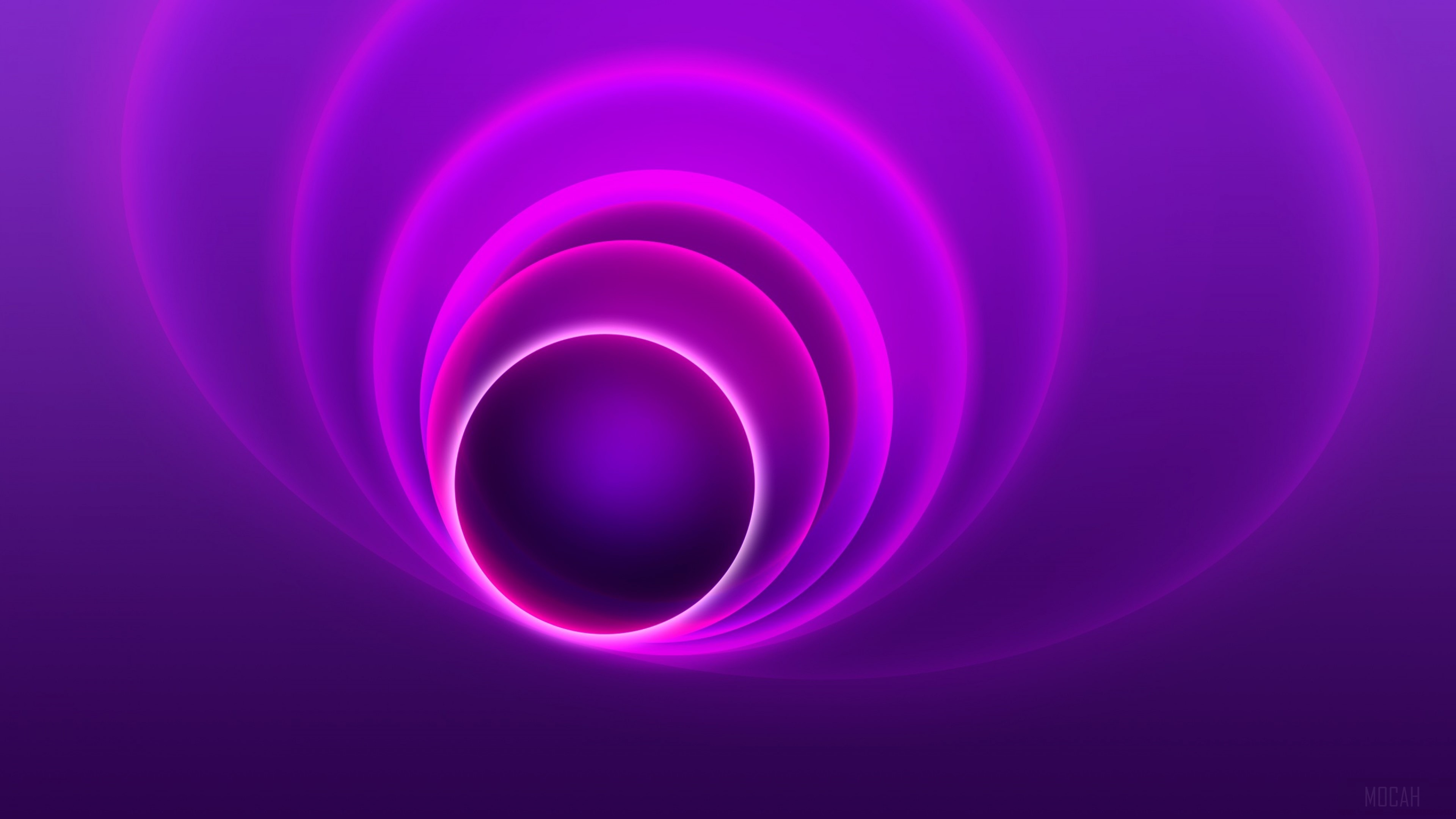4K Vivid Purple Abstract Circles HD Wallpaper