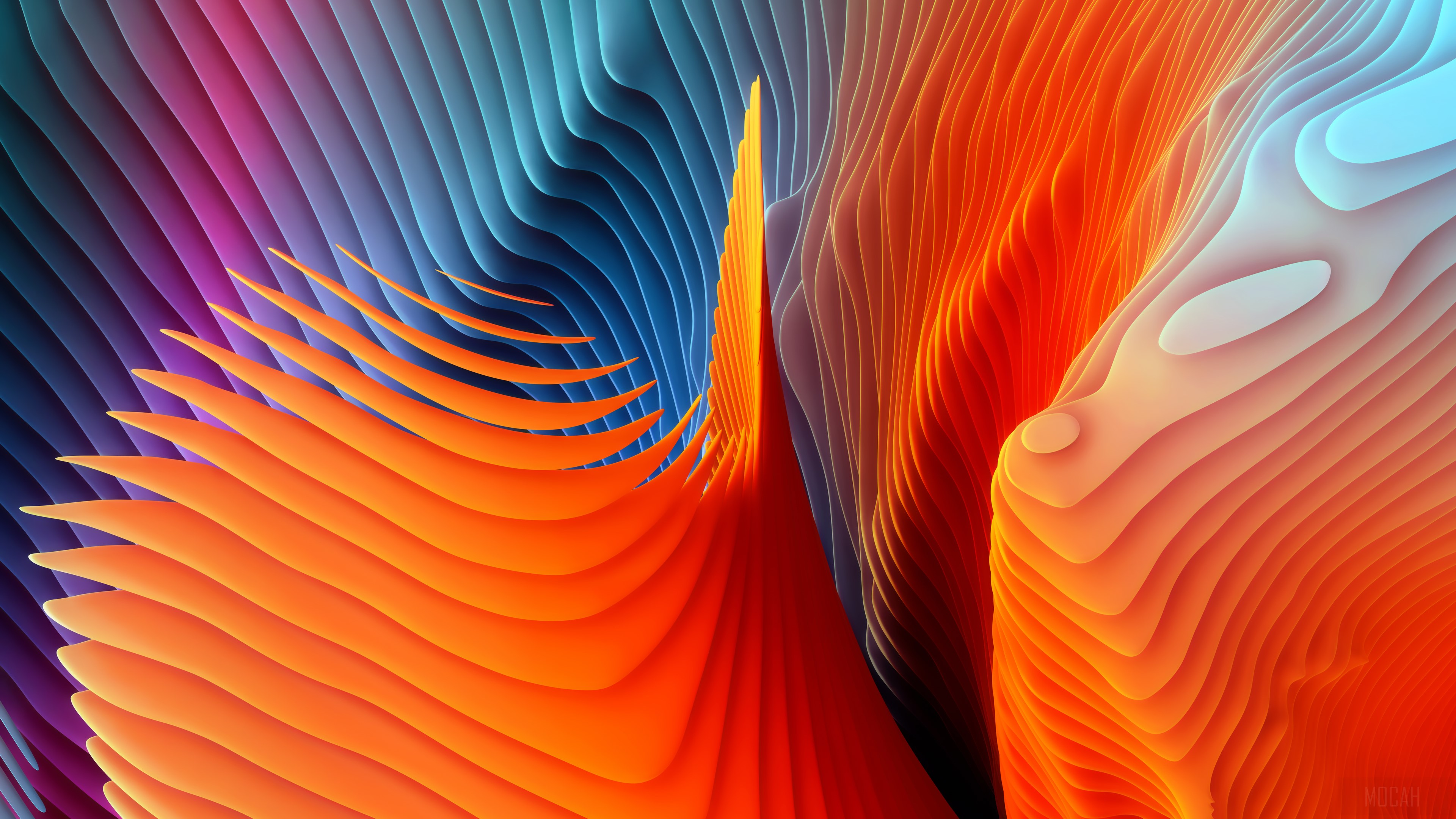 Abstract Shapes 4K Wallpaper HD Wallpaper