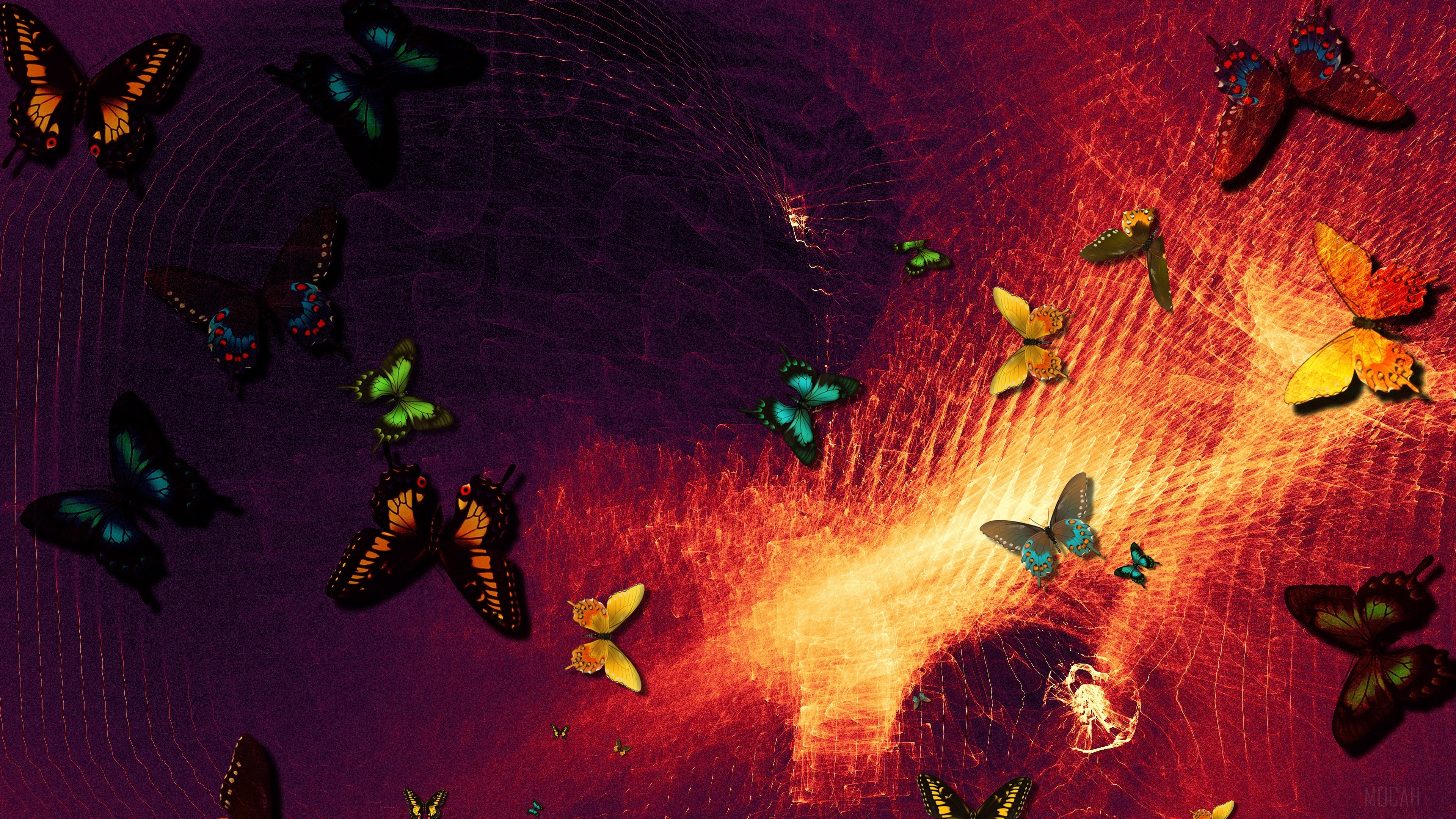 Butterflies in abstract art 4K HD Wallpaper