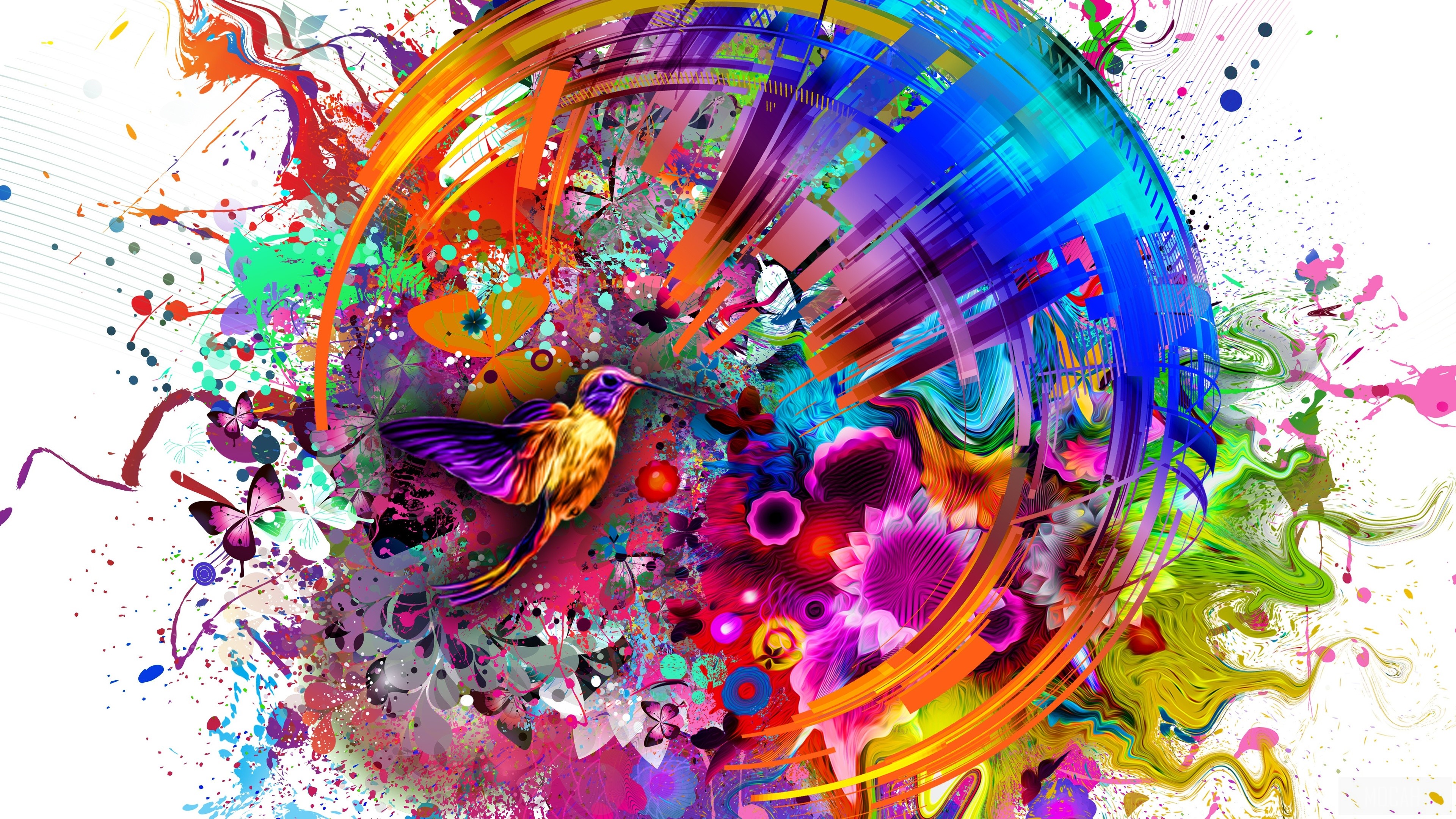 Abstract Flashy Bird 4K HD Wallpaper