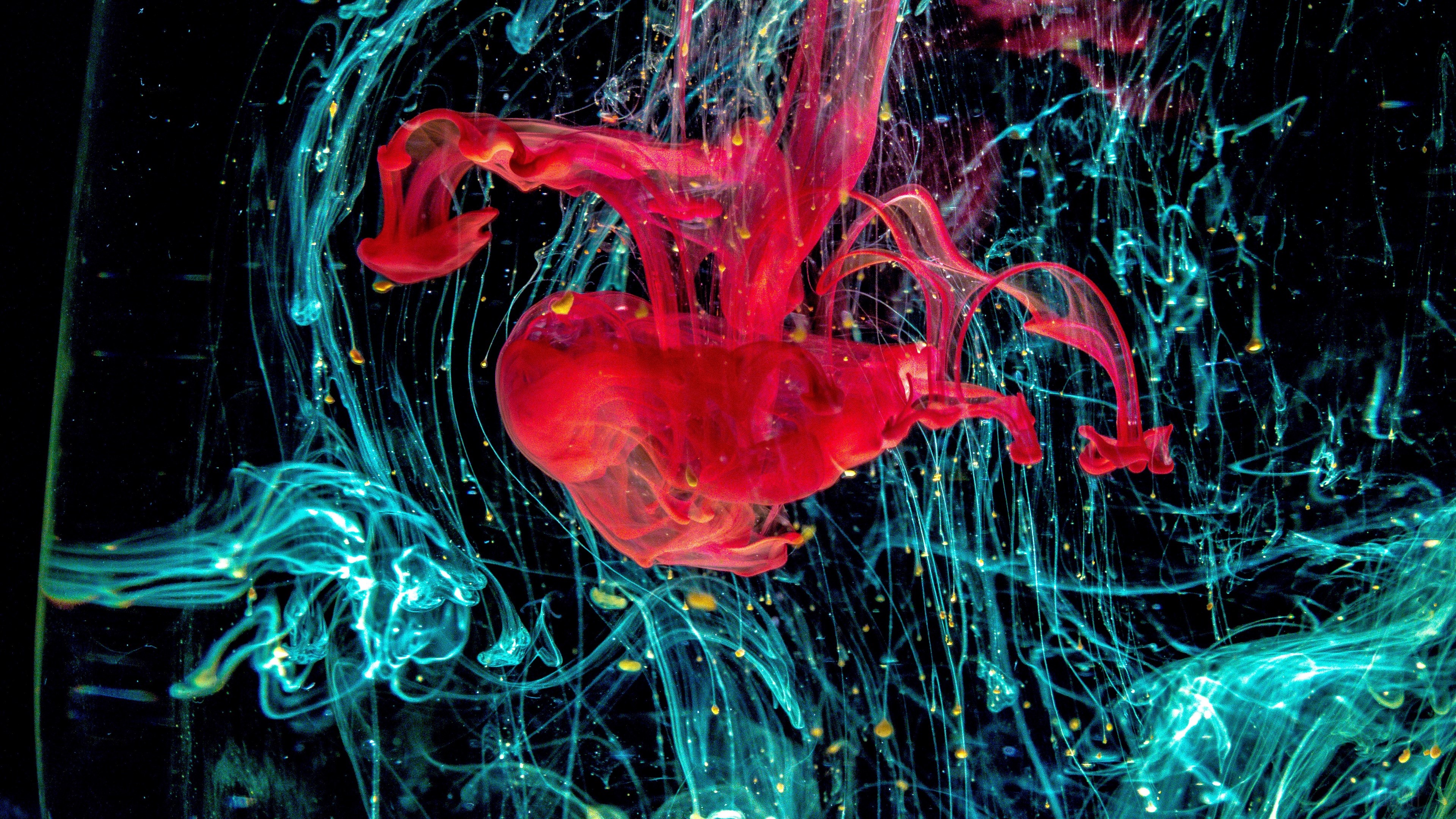 Red and blue ink in water 4K HD Wallpaper
