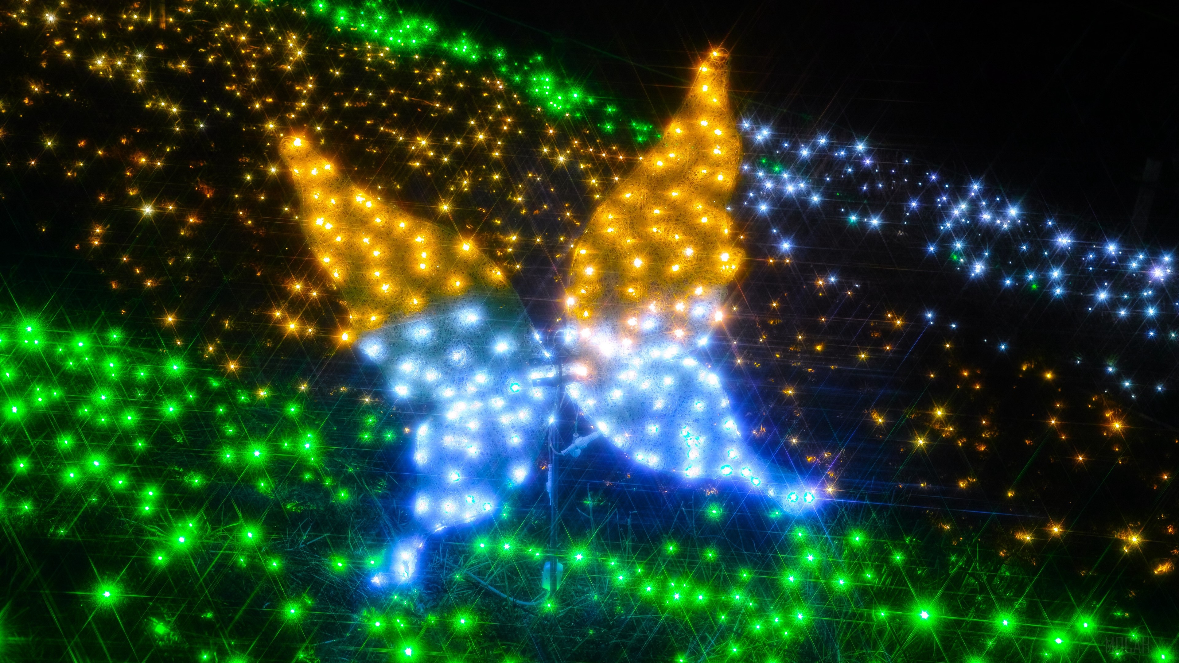 Butterfly made of lights, abstract glitter 4K HD Wallpaper