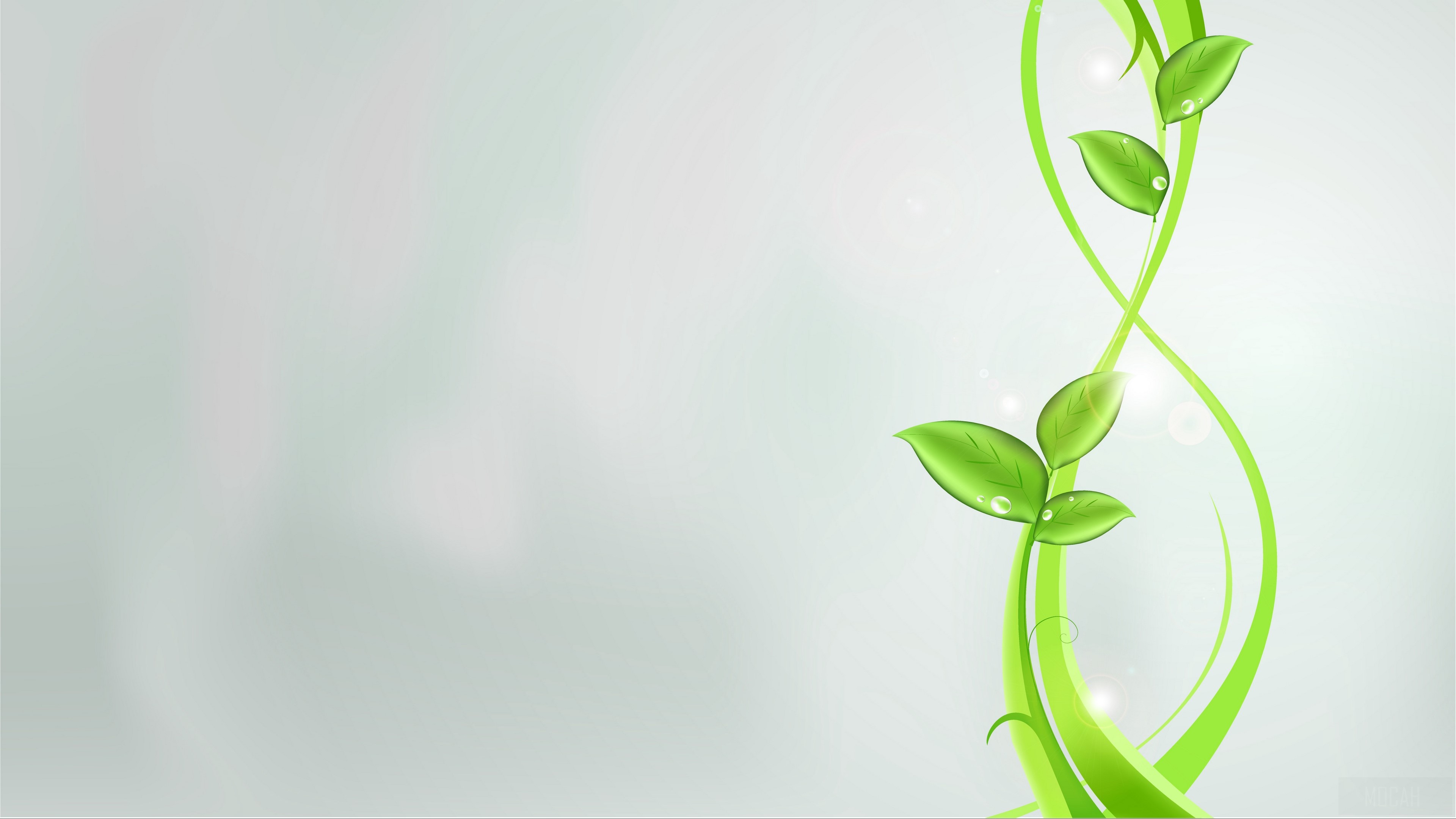 Green plant with leaves and abstract lines 4K HD Wallpaper