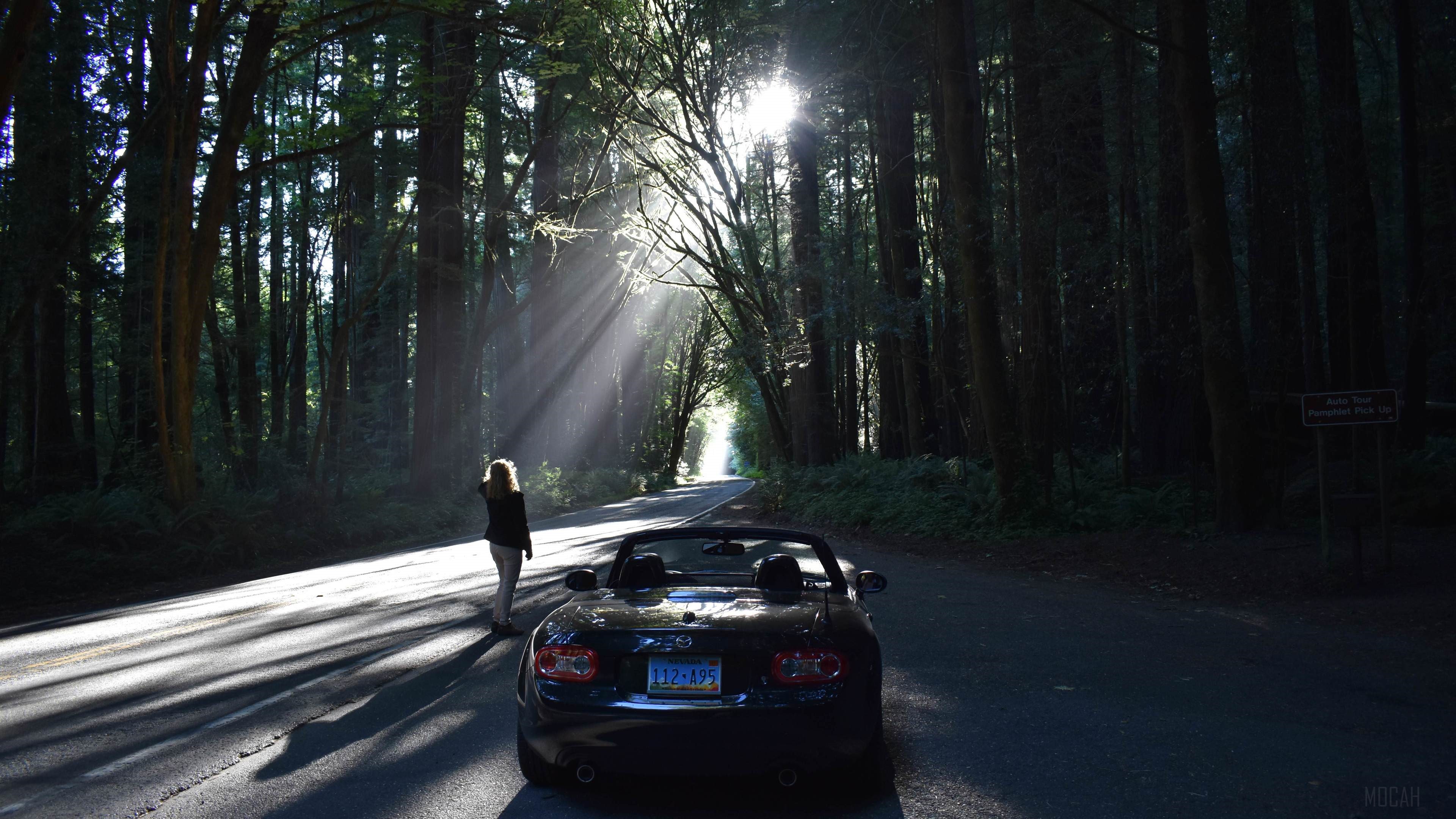 Mazda Sports Car on Forest Road 4K HD Wallpaper