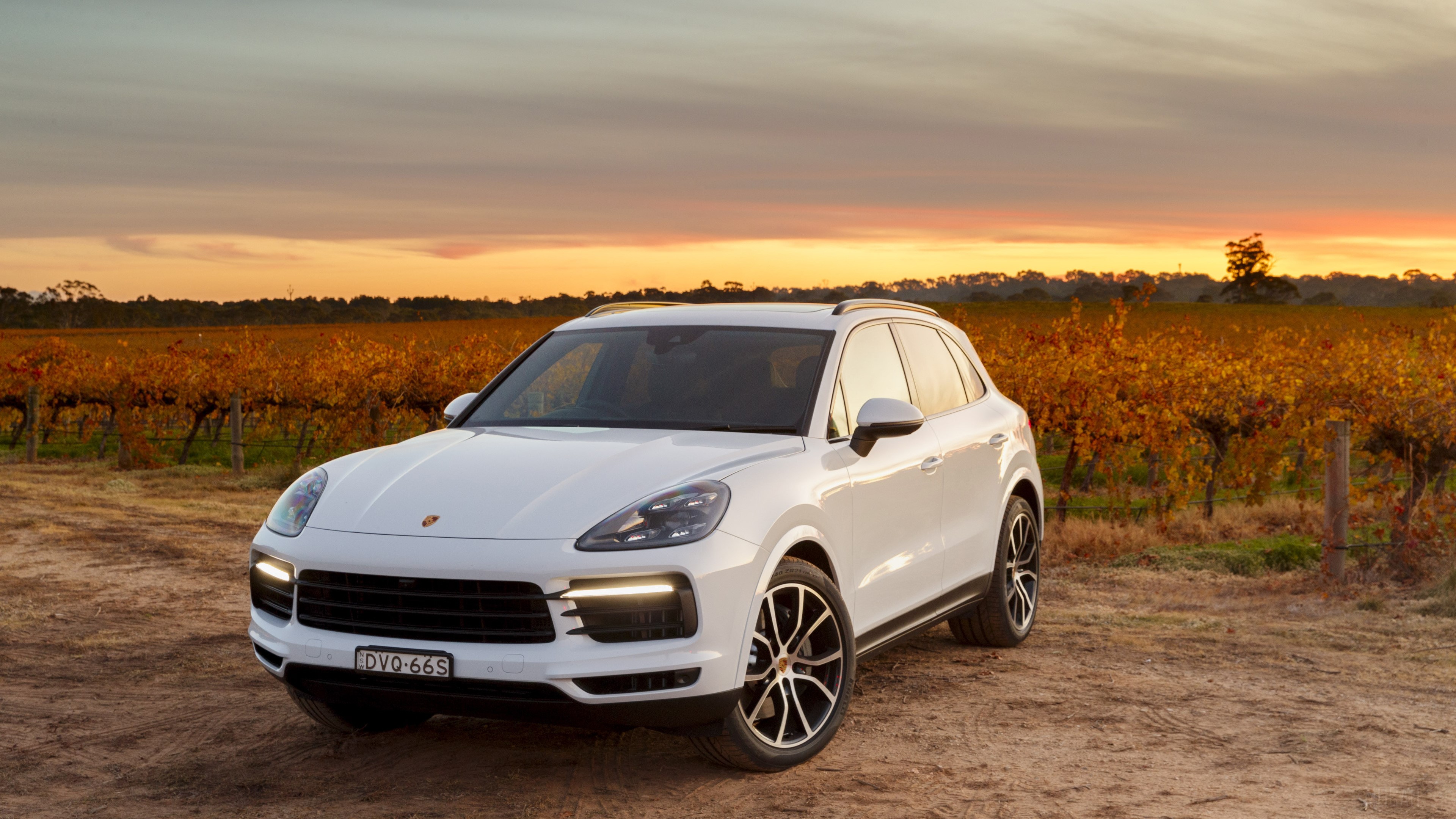 White Porsche Cayenne S in vineyard at sunset 4K HD Wallpaper
