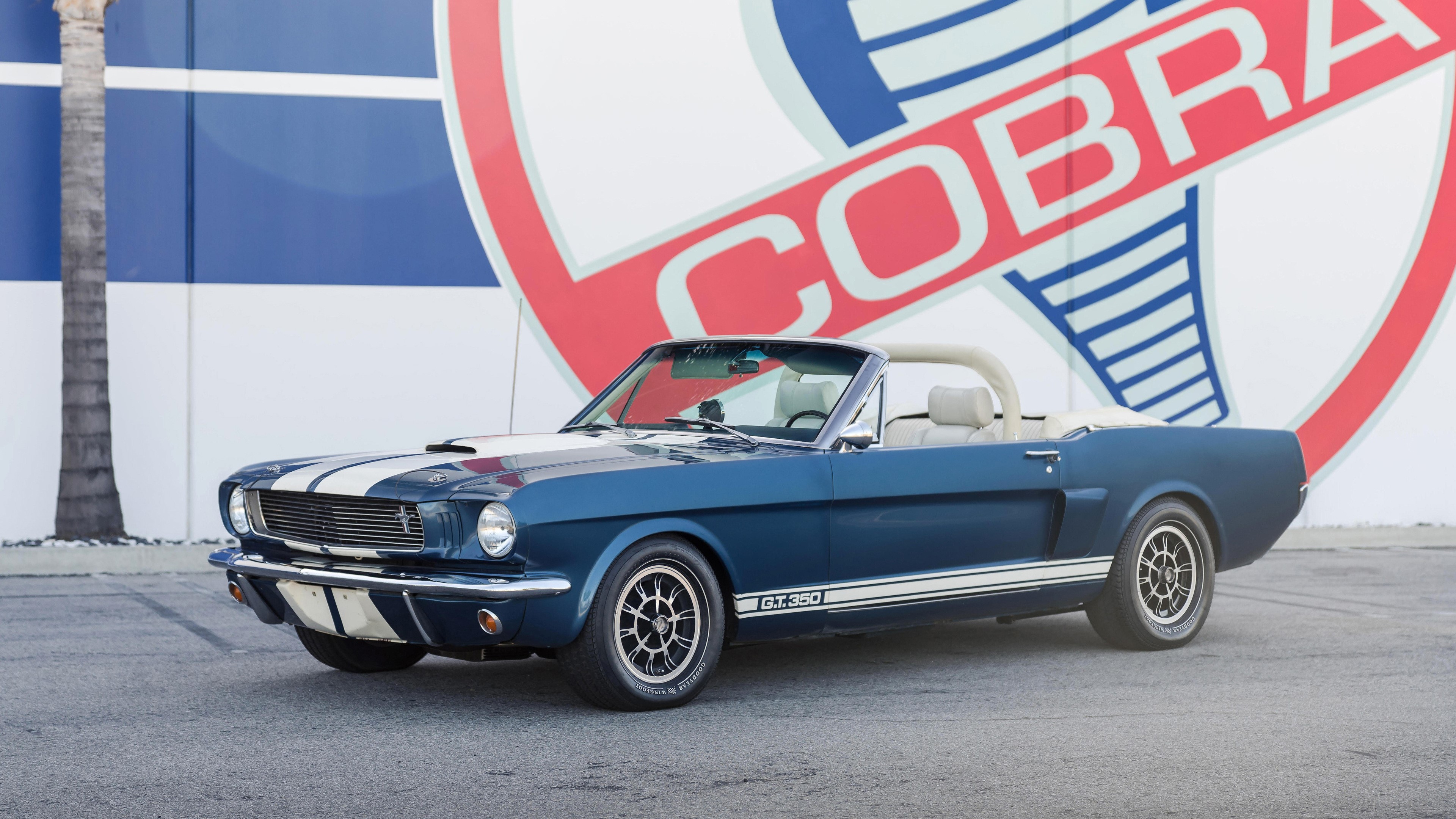 1966 Shelby GT350 Continuation Series Convertible HD Wallpaper