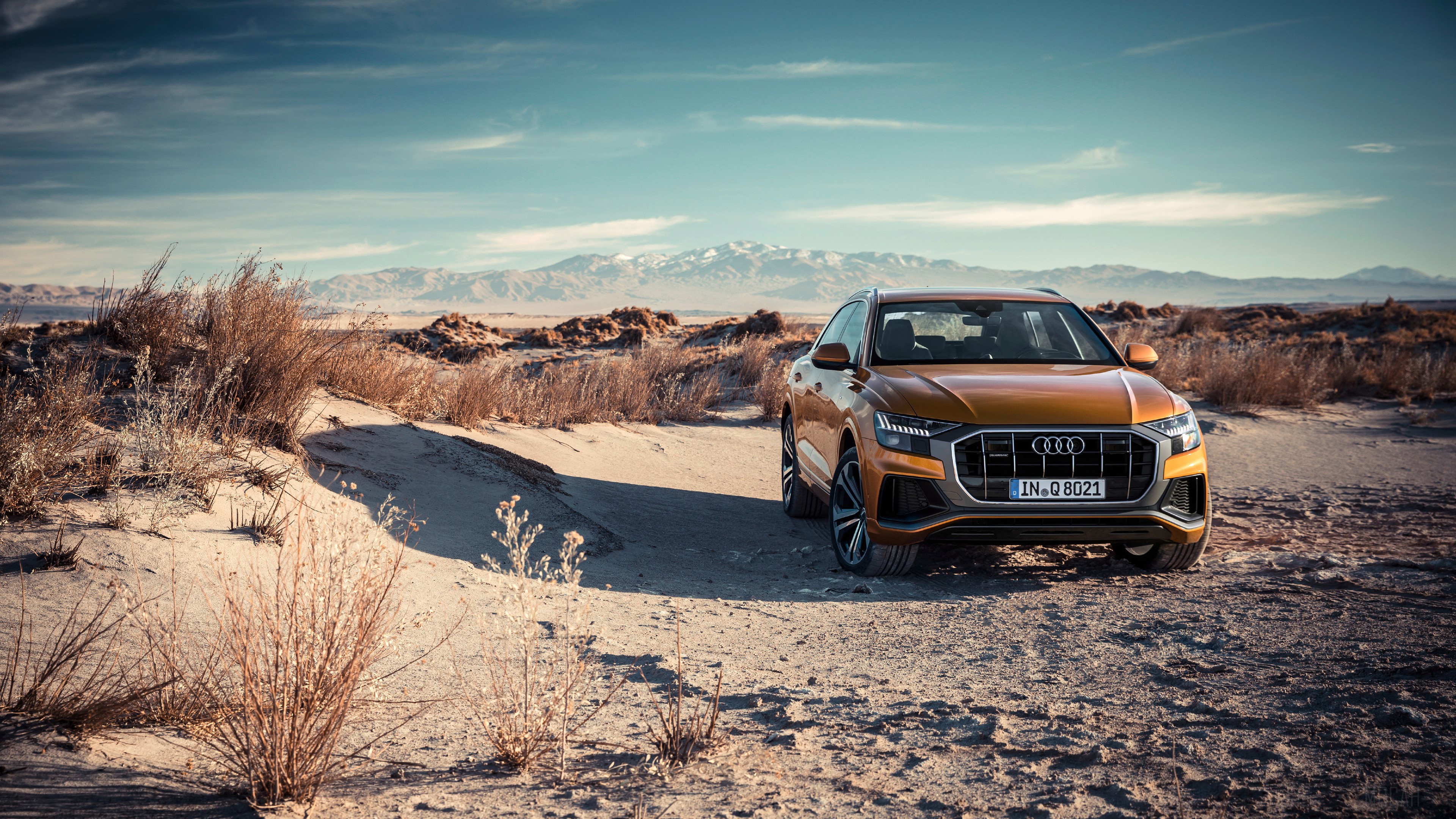 Orange Audi Q8 55 TFSI Quattro S 4K in desert landscape HD Wallpaper