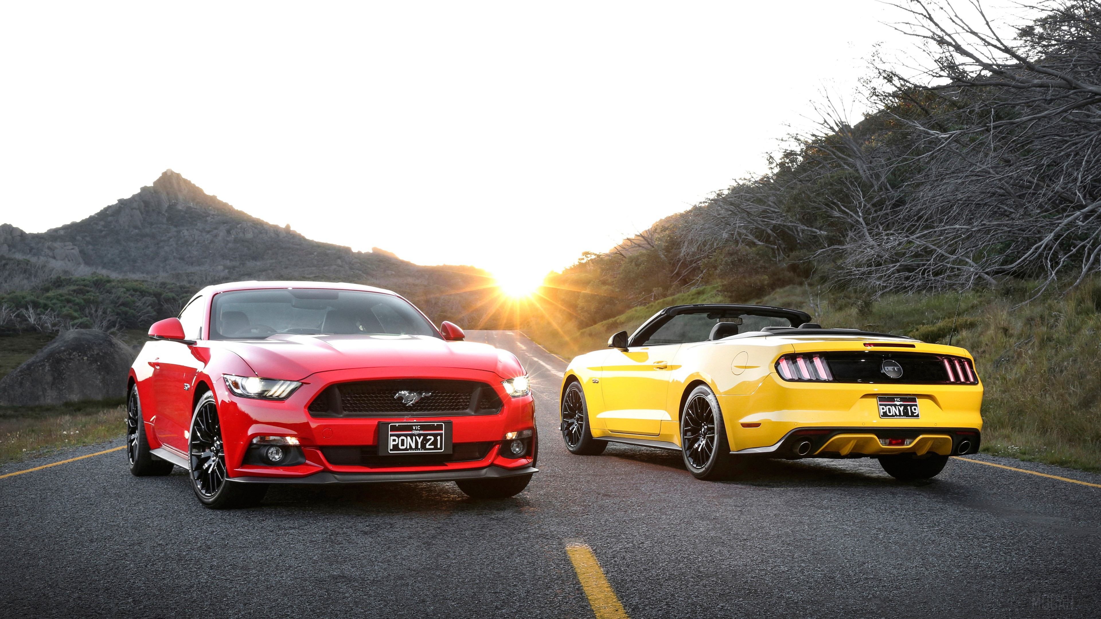 Red and Yellow Ford Mustangs on a Road HD Wallpaper