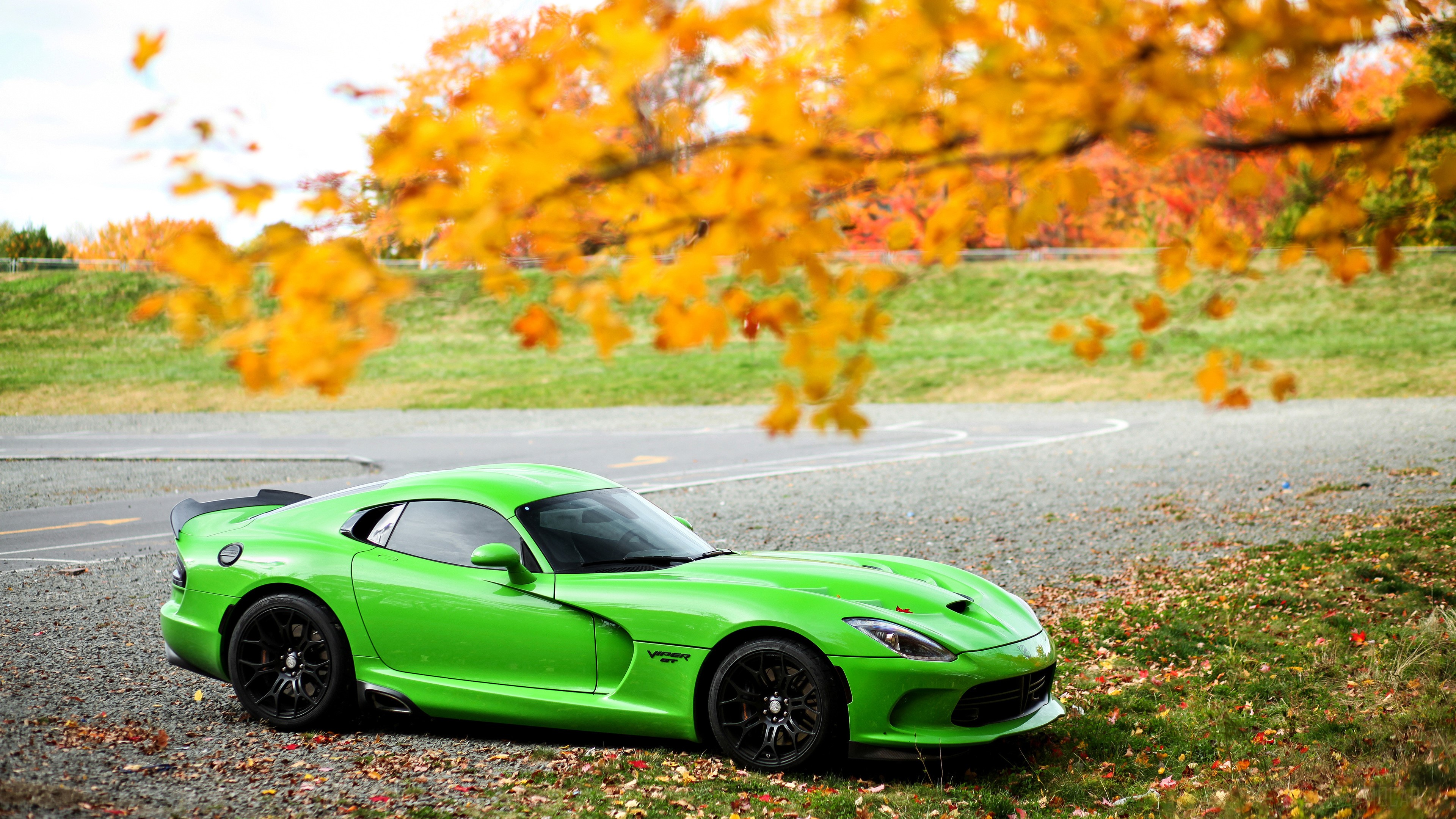 Green Dodge Viper GTC HD Wallpaper