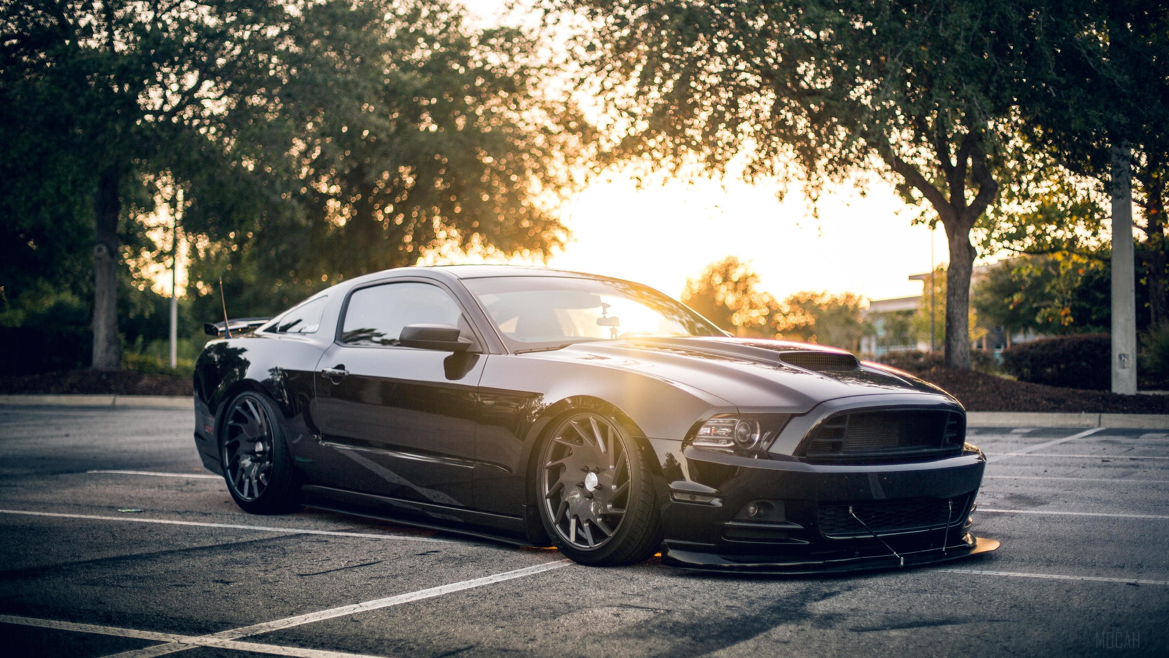 Black Ford Mustang Shelby 4K HD Wallpaper