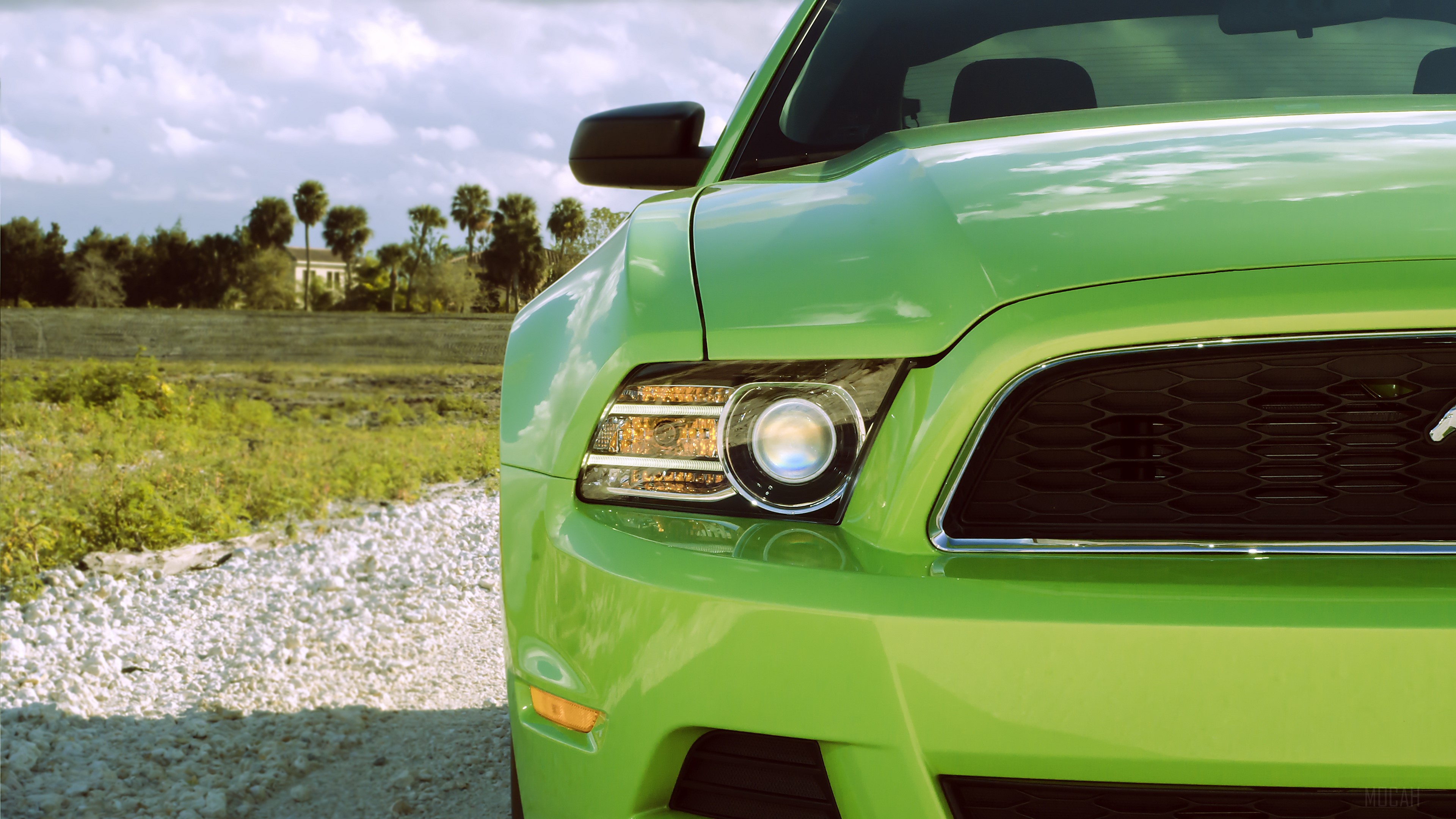 Green Ford Mustang sports car front view 4K HD Wallpaper