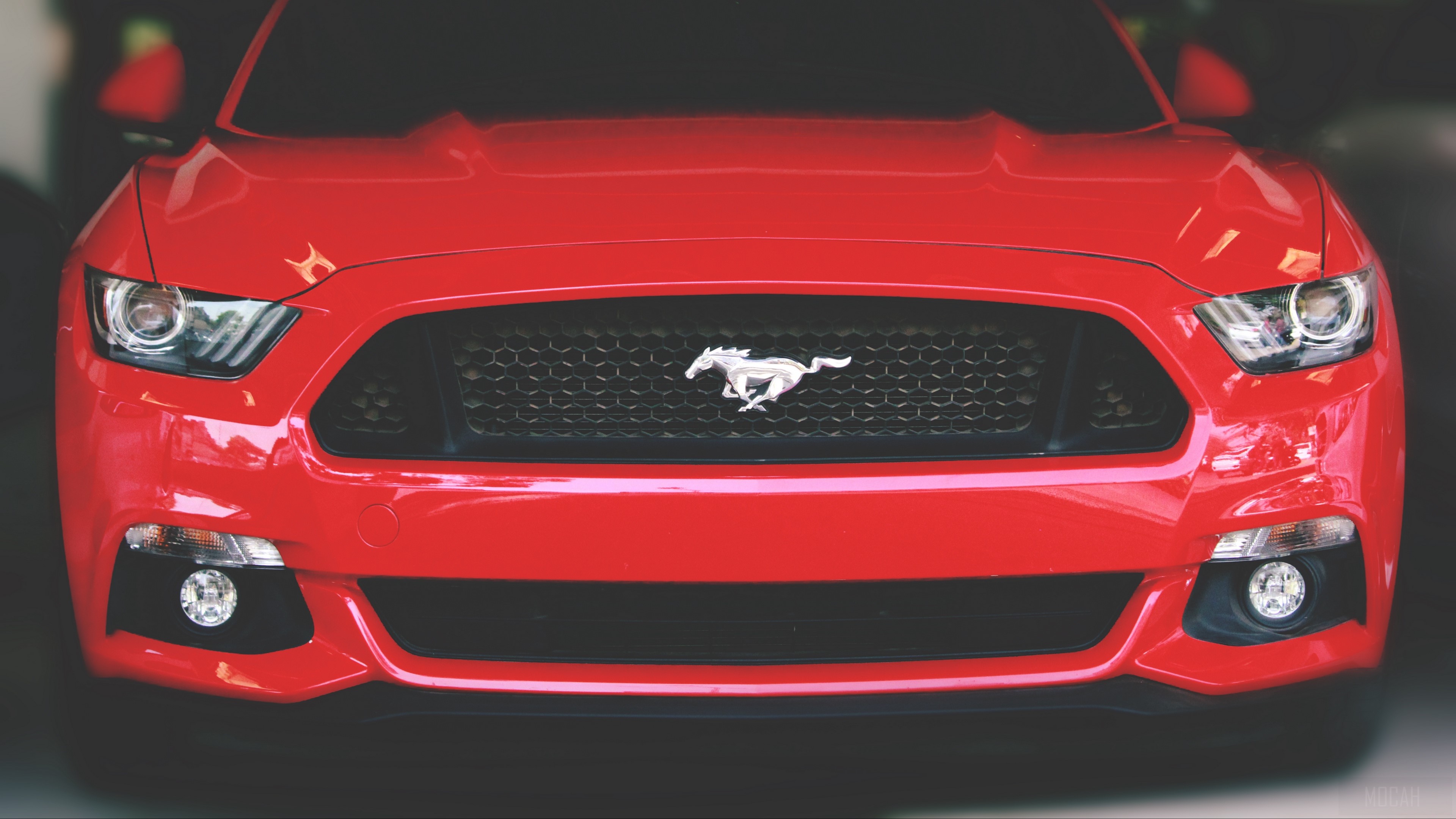 Red Ford Mustang front view 4K HD Wallpaper