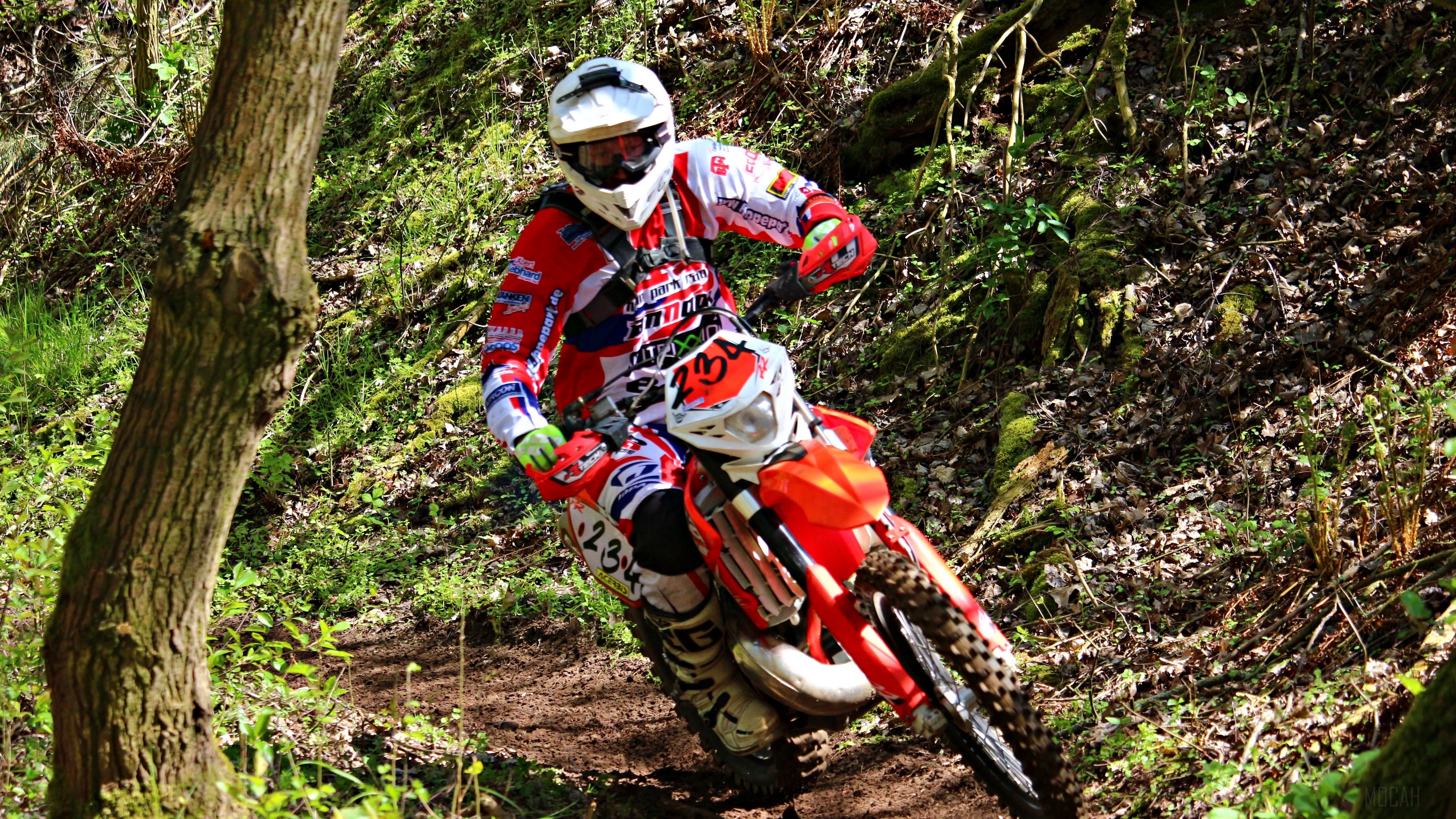 Motocross rider on a dirt track in a forest HD Wallpaper