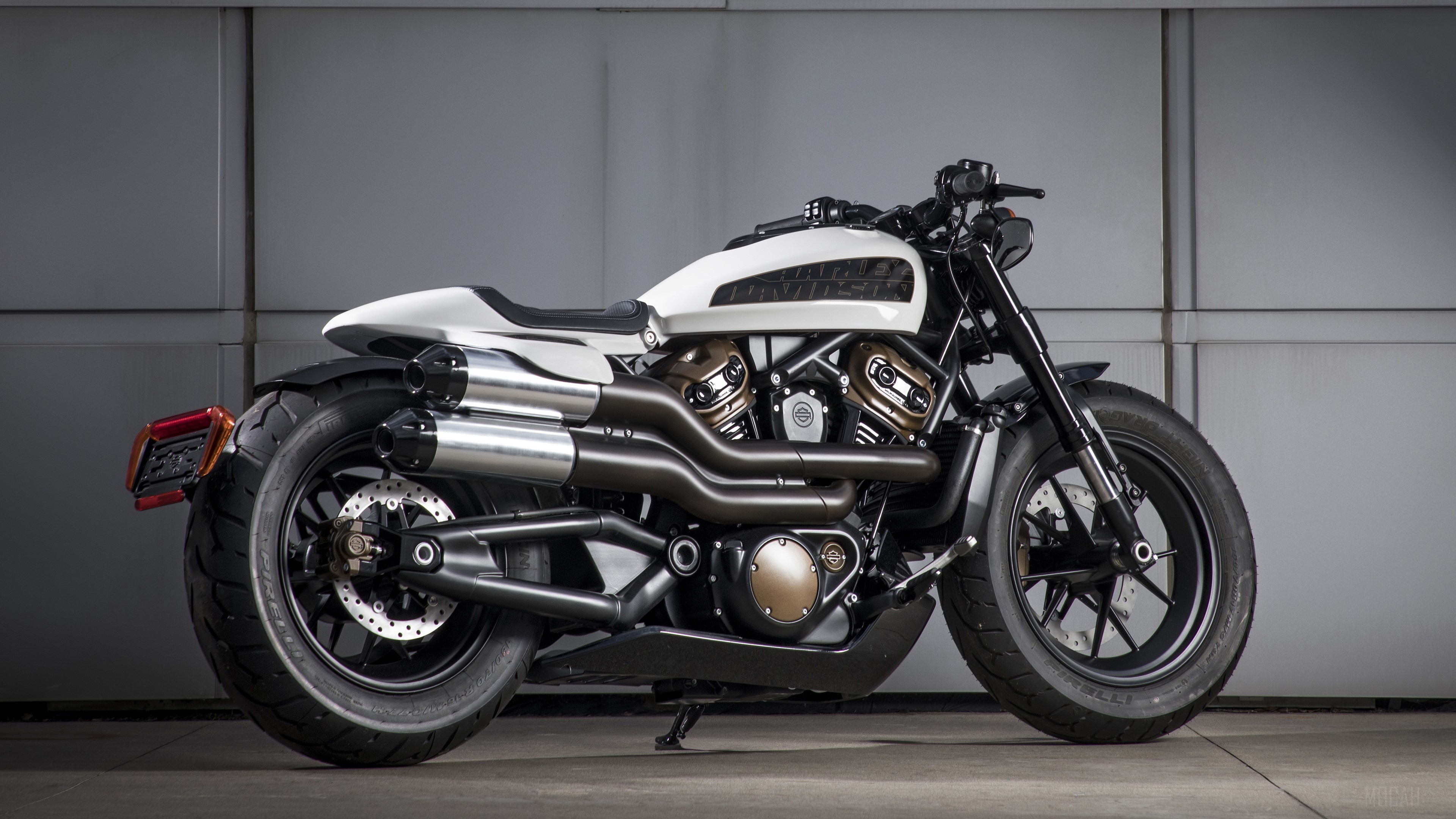 Harley Davidson Custom 1250 4K HD Wallpaper