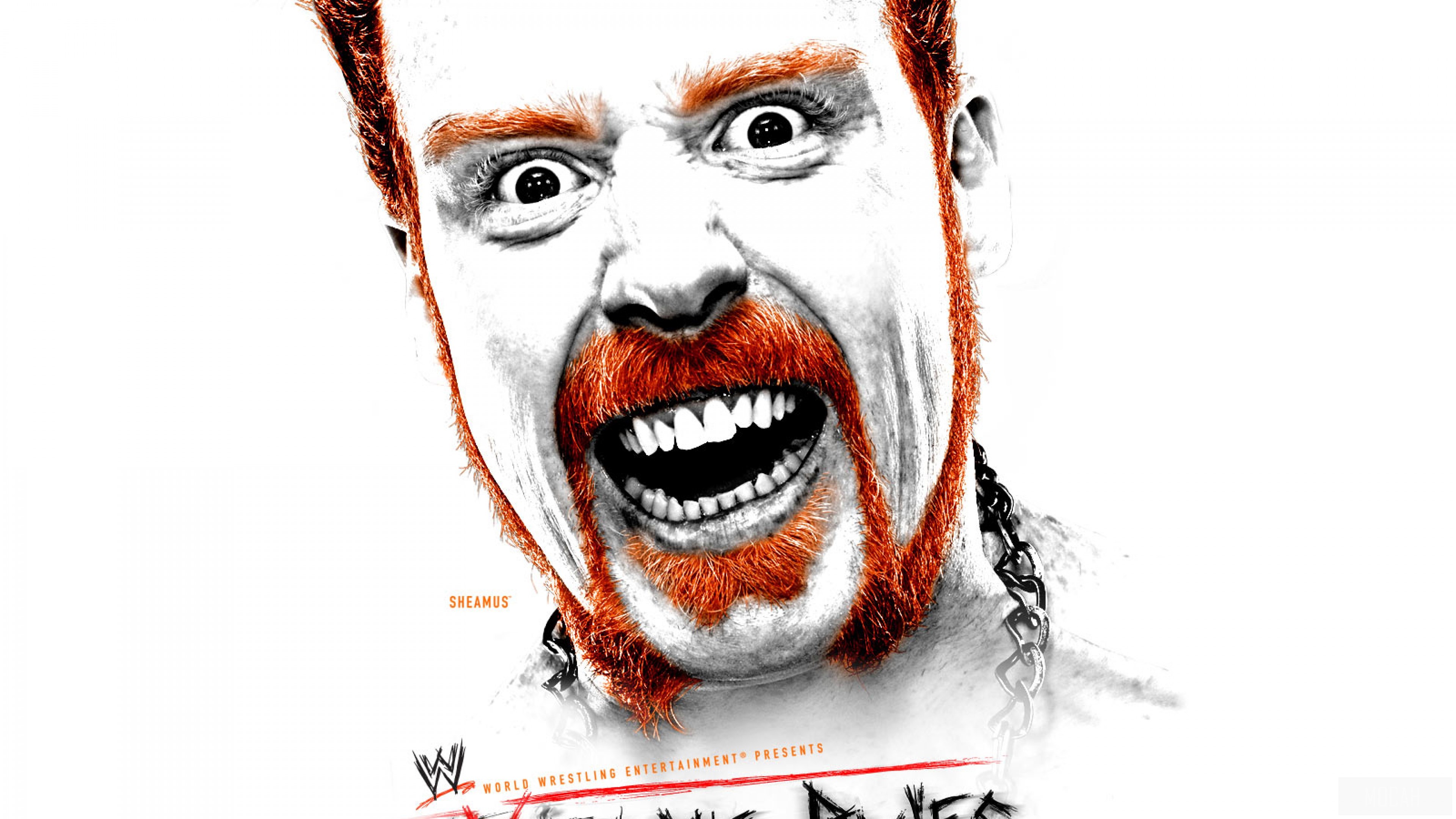 Sheamus from WWE Extreme Rules 2015 4K HD Wallpaper