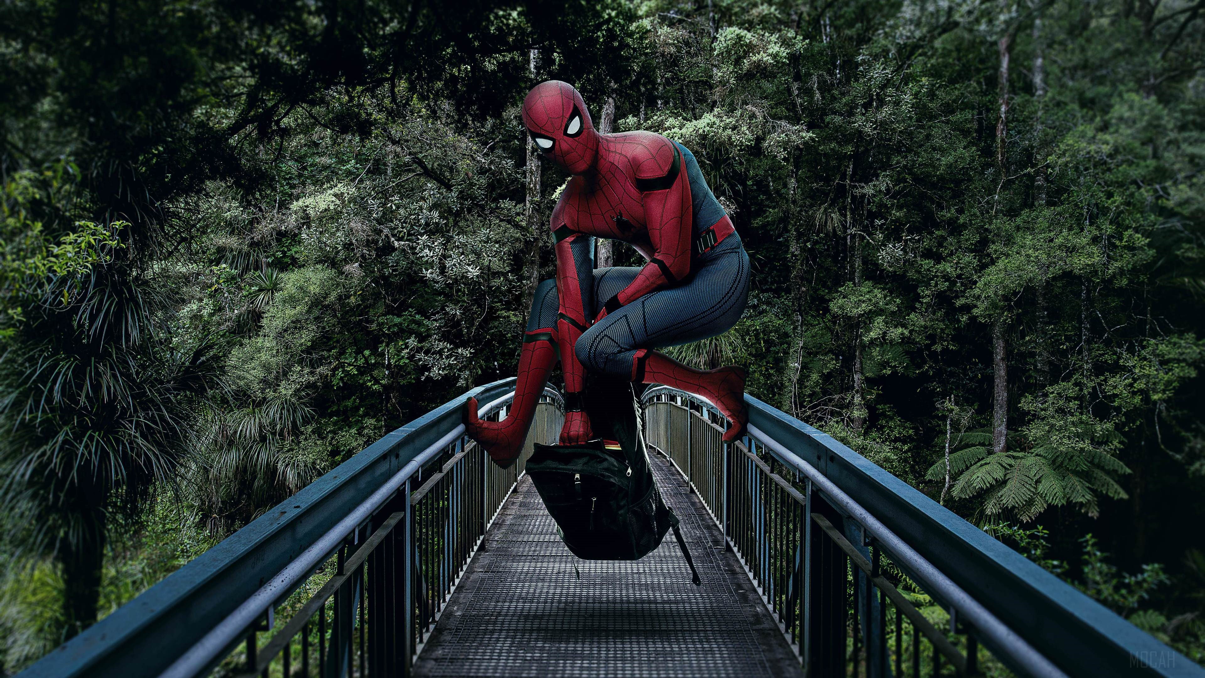 Spider-Man on a bridge in a forest 4K HD Wallpaper
