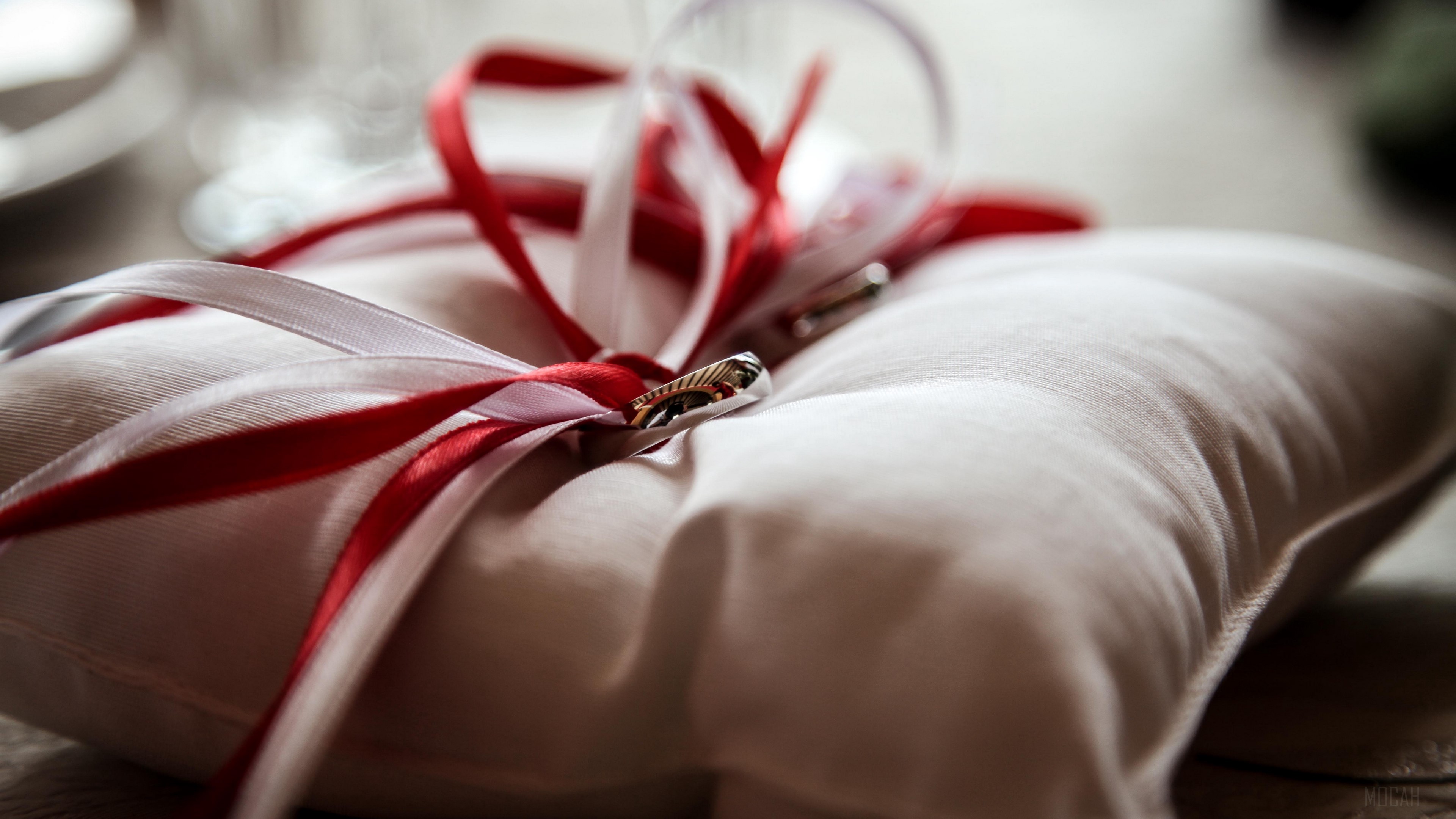 Wedding rings on a pillow with ribbons HD Wallpaper
