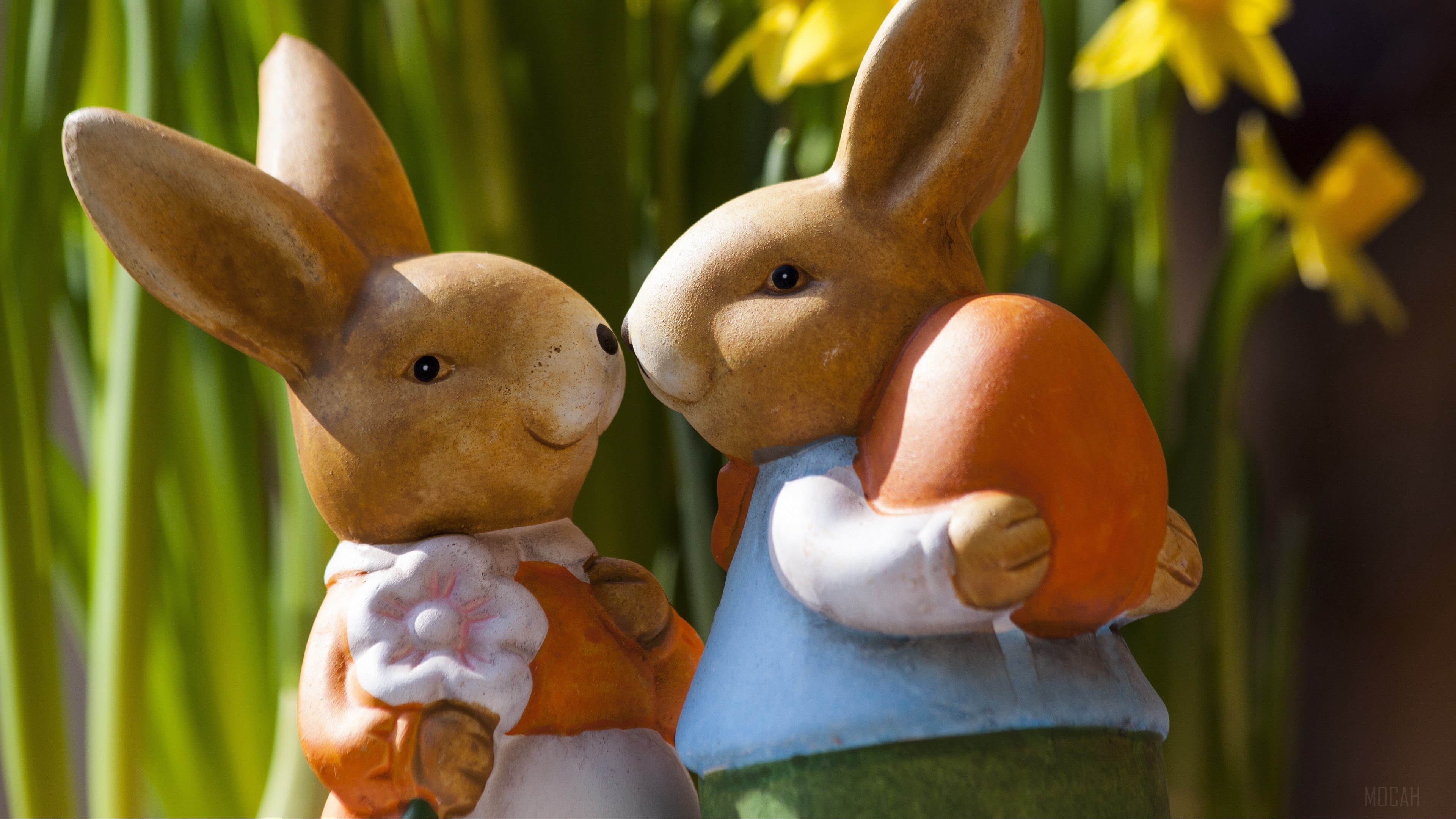 Easter bunnies with orange egg and daffodils HD Wallpaper