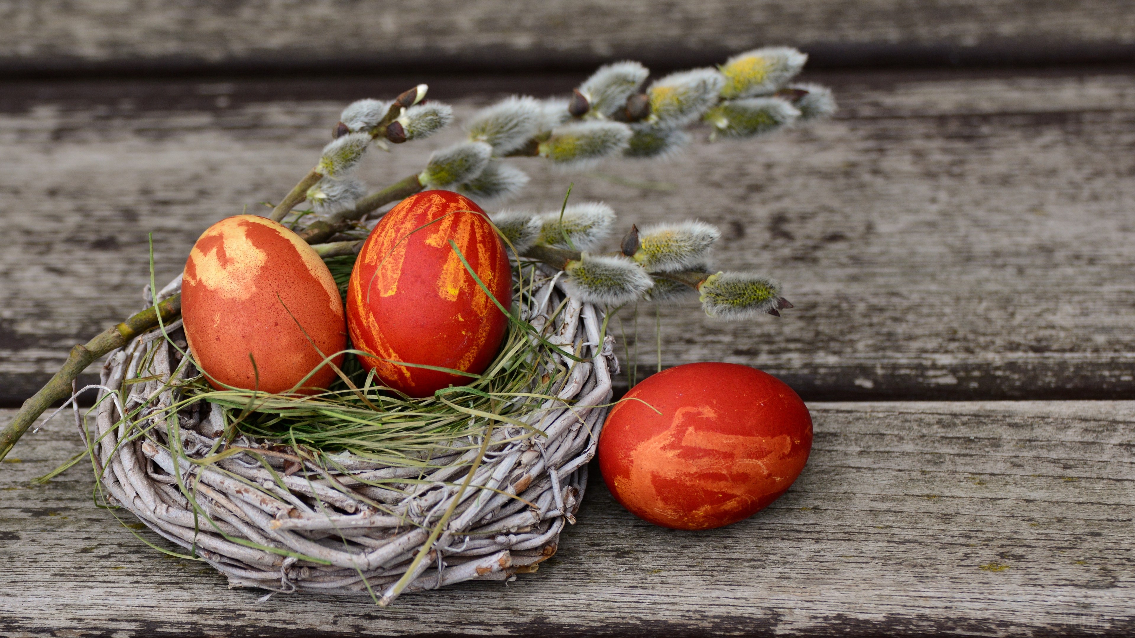 Easter eggs in a nest with willow branches HD Wallpaper