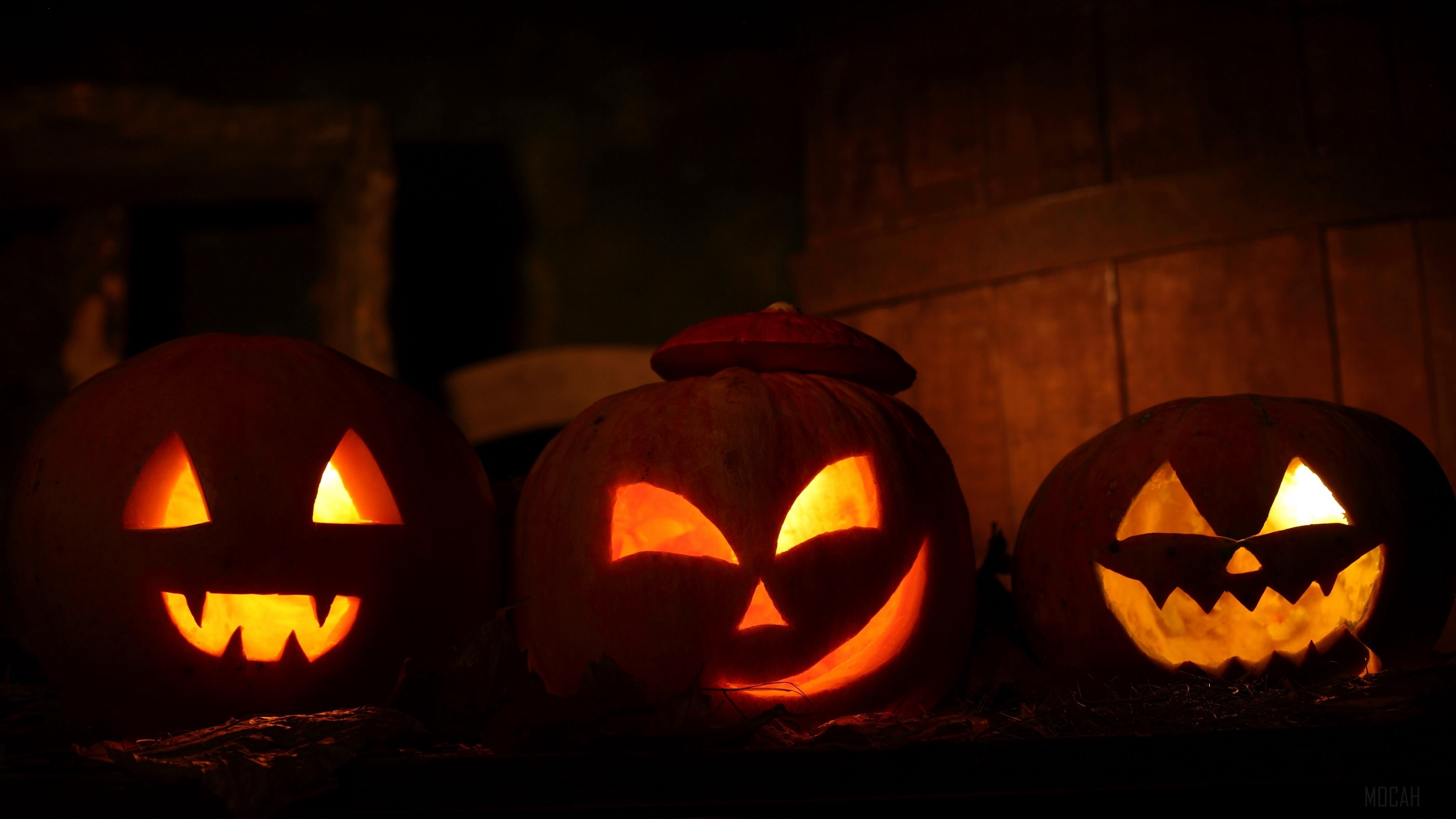 Three carved pumpkins on Halloween night 4K HD Wallpaper