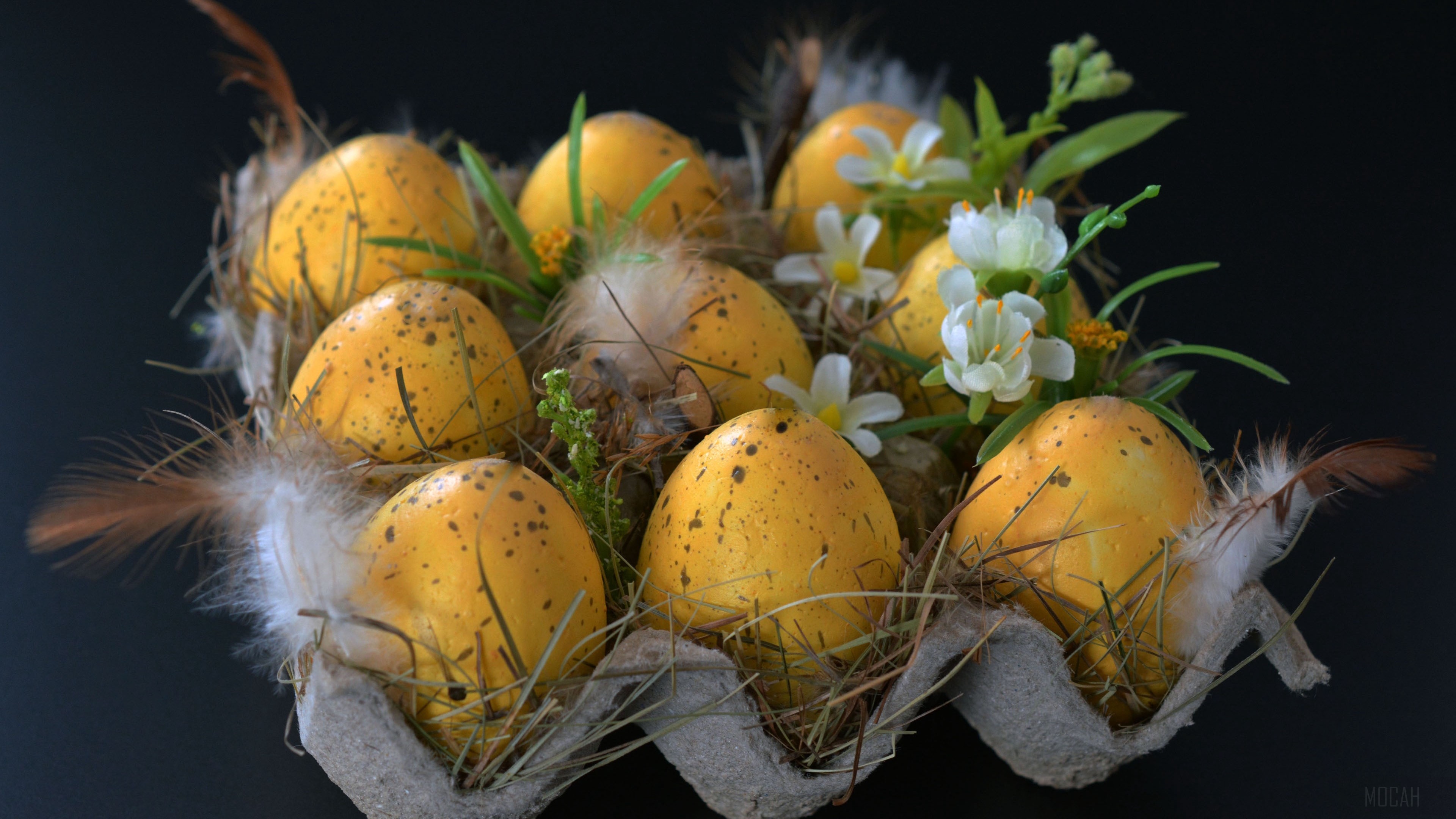 Easter eggs with feathers and flowers in a carton HD Wallpaper