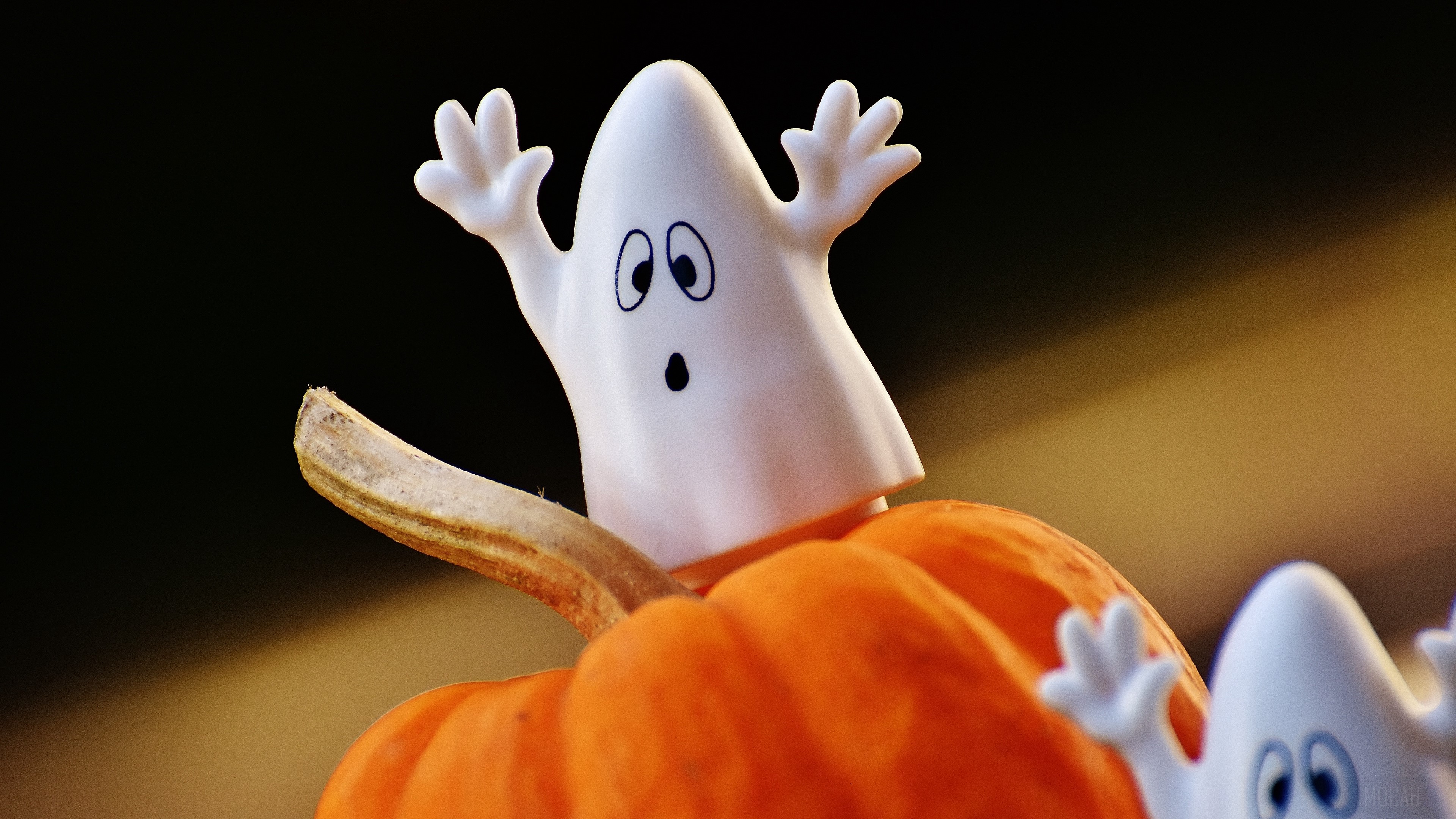 Halloween ghosts on a pumpkin 4K HD Wallpaper