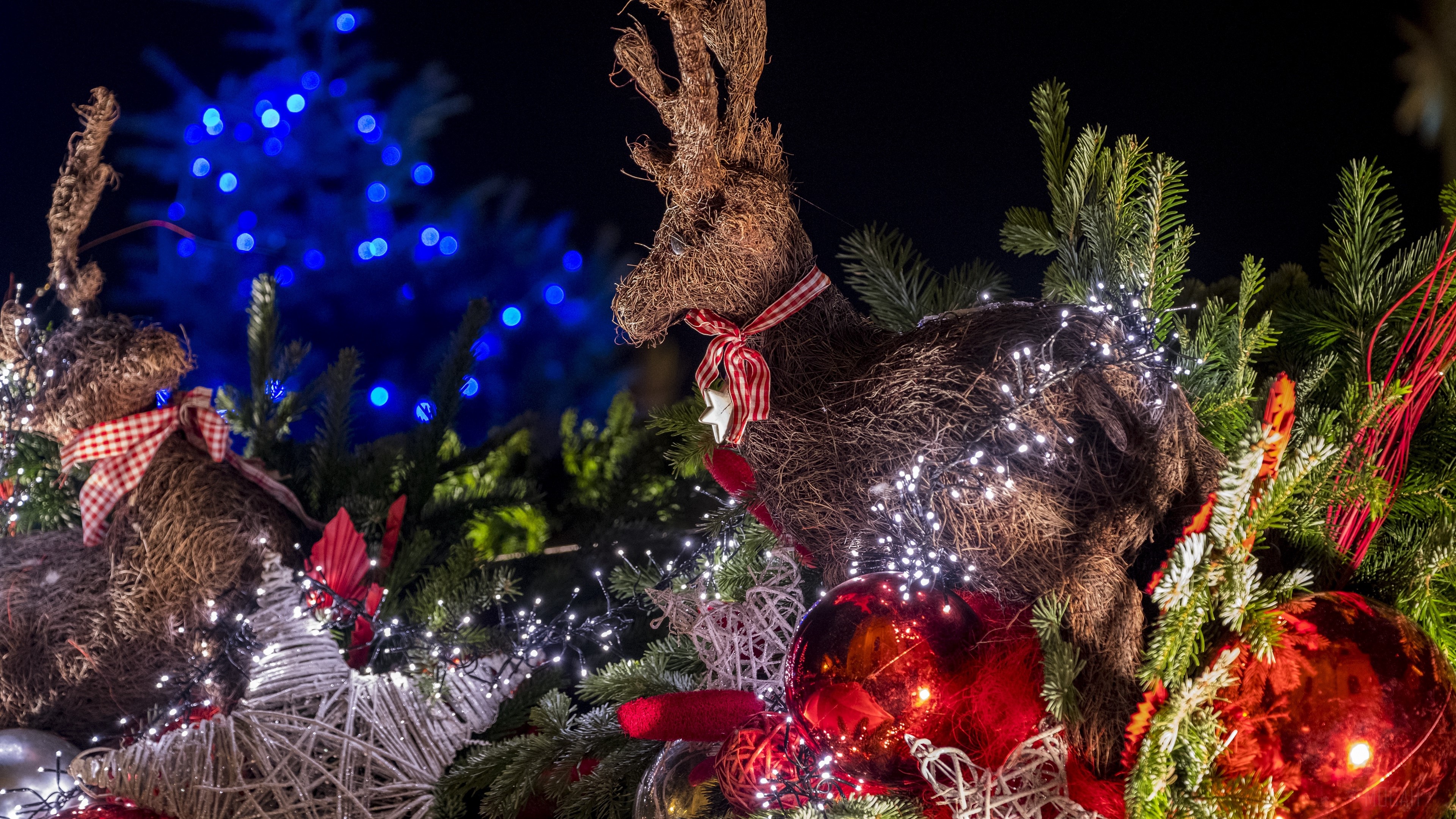 Christmas reindeer decorations with lights and ornaments HD Wallpaper