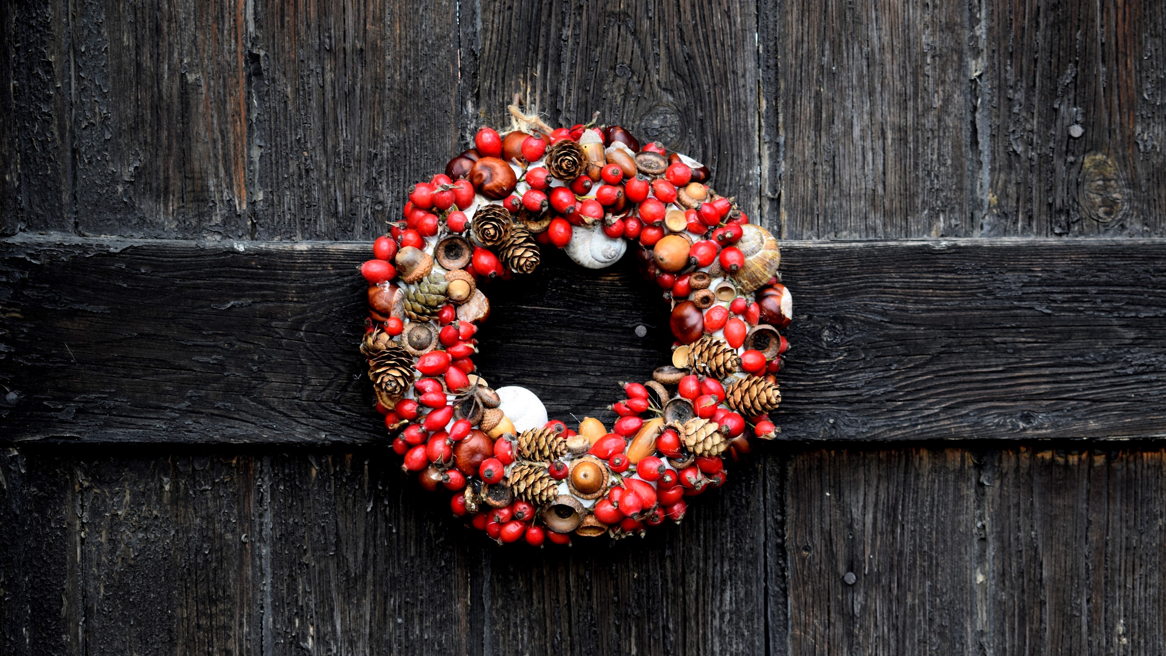 Wreath with dogrose, acorns, and cones 4K HD Wallpaper