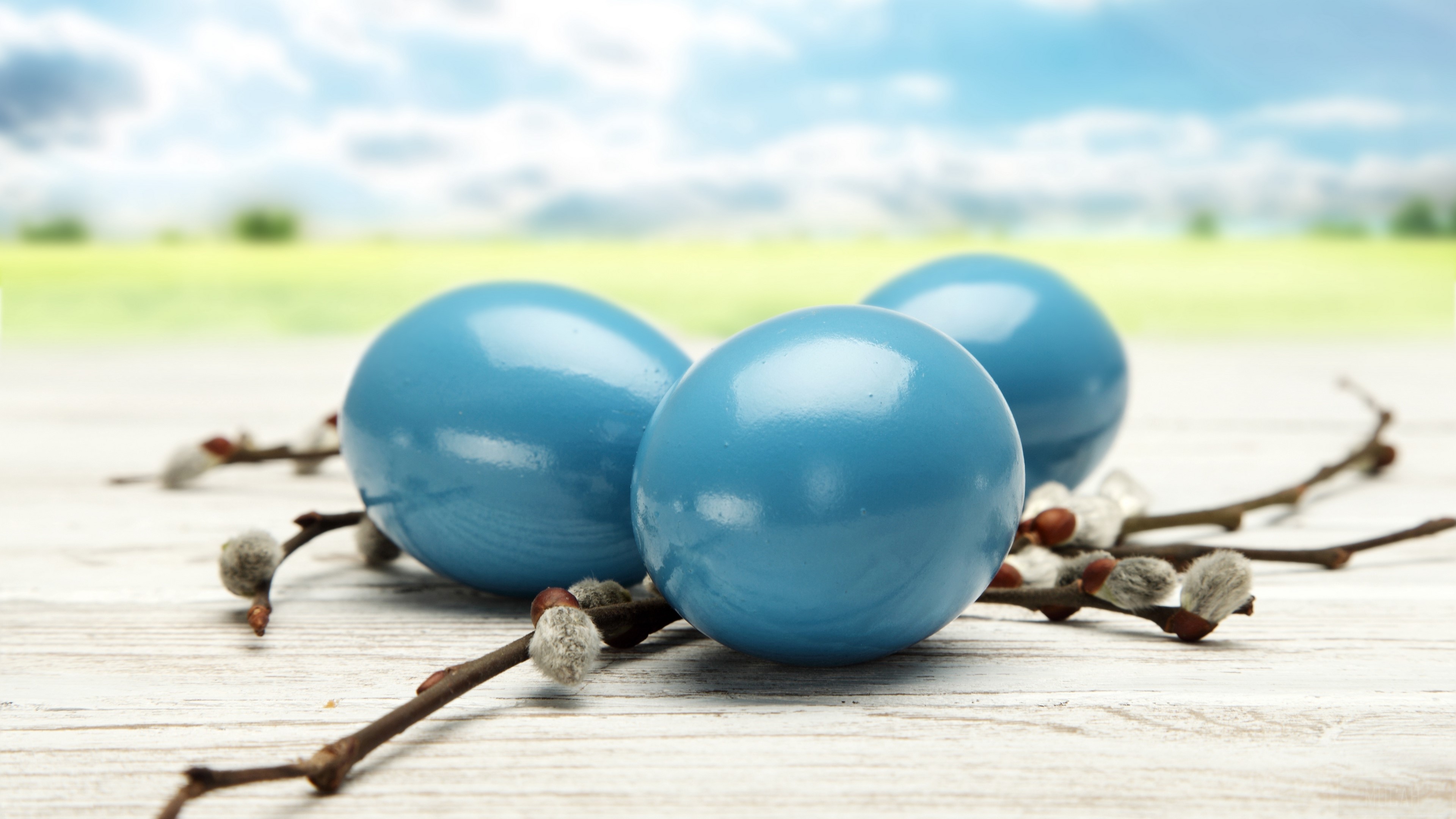 Blue Easter eggs with willow branches HD Wallpaper