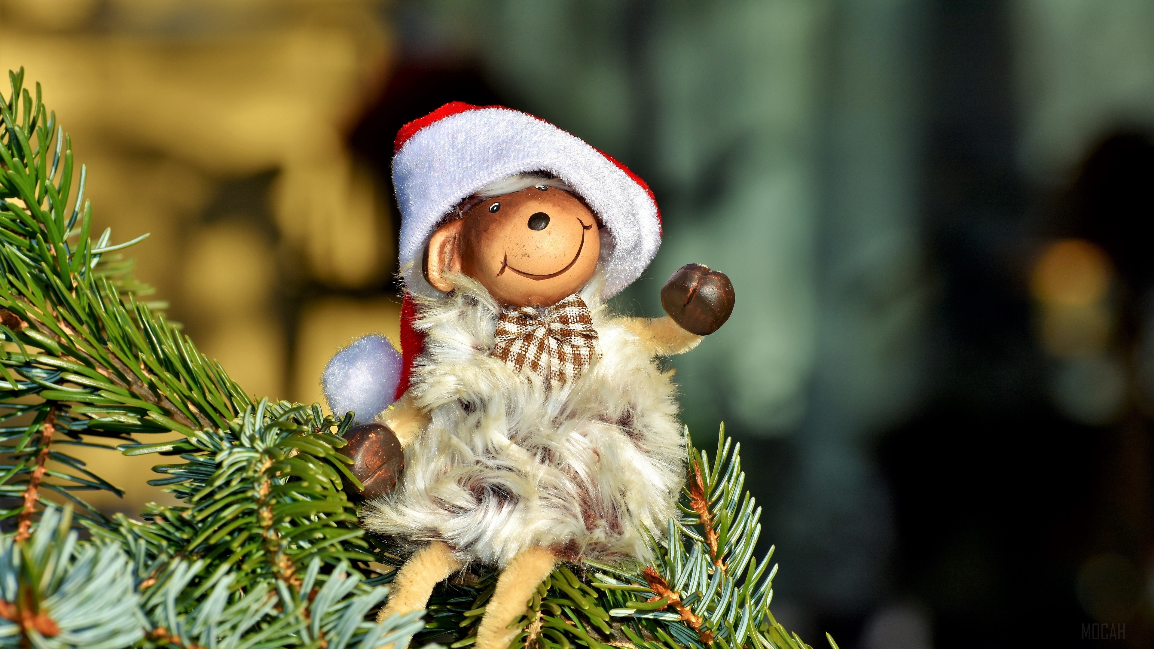 Monkey toy wearing Santa hat on fir tree HD Wallpaper