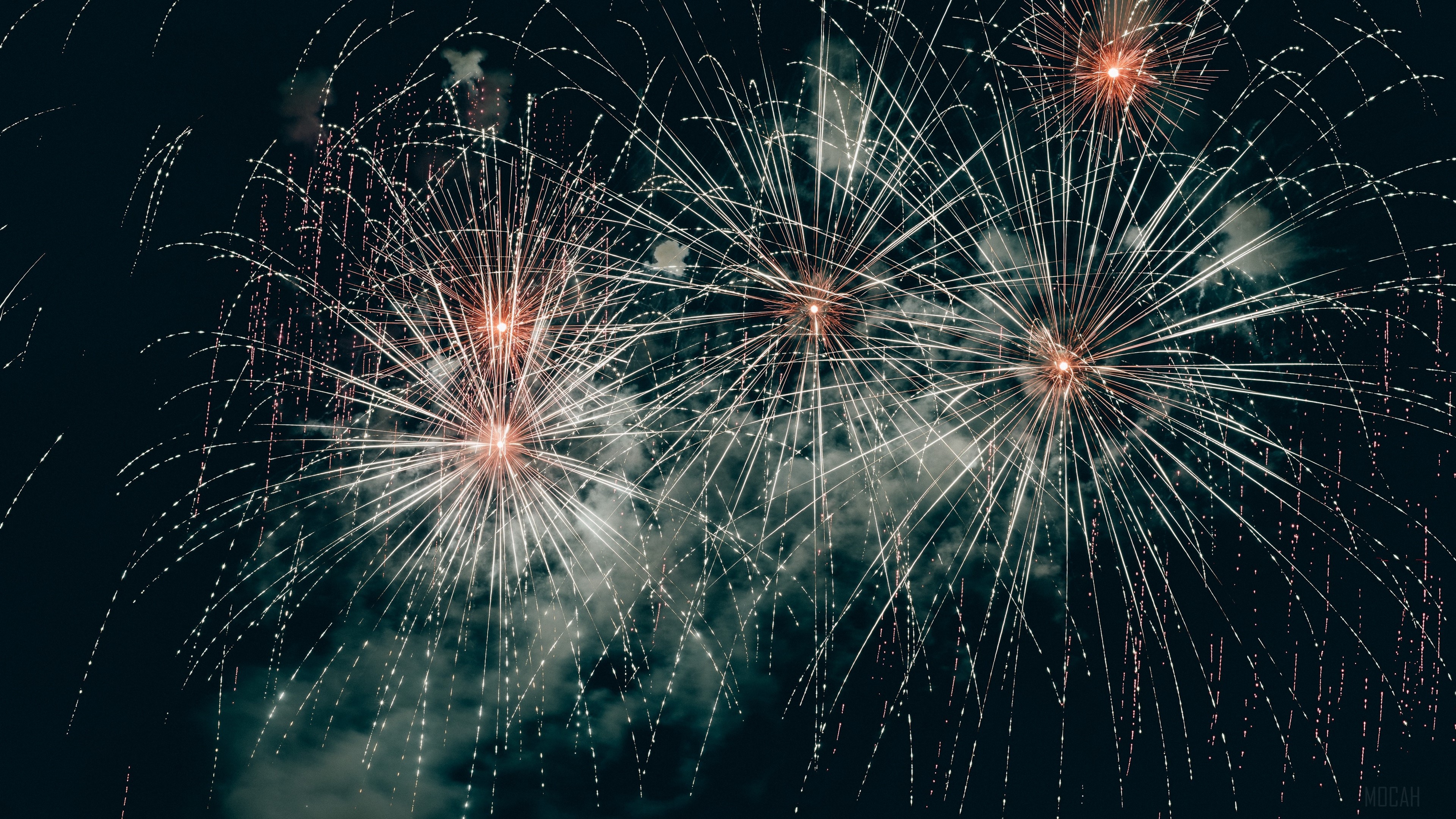 Fireworks display in the night sky HD Wallpaper