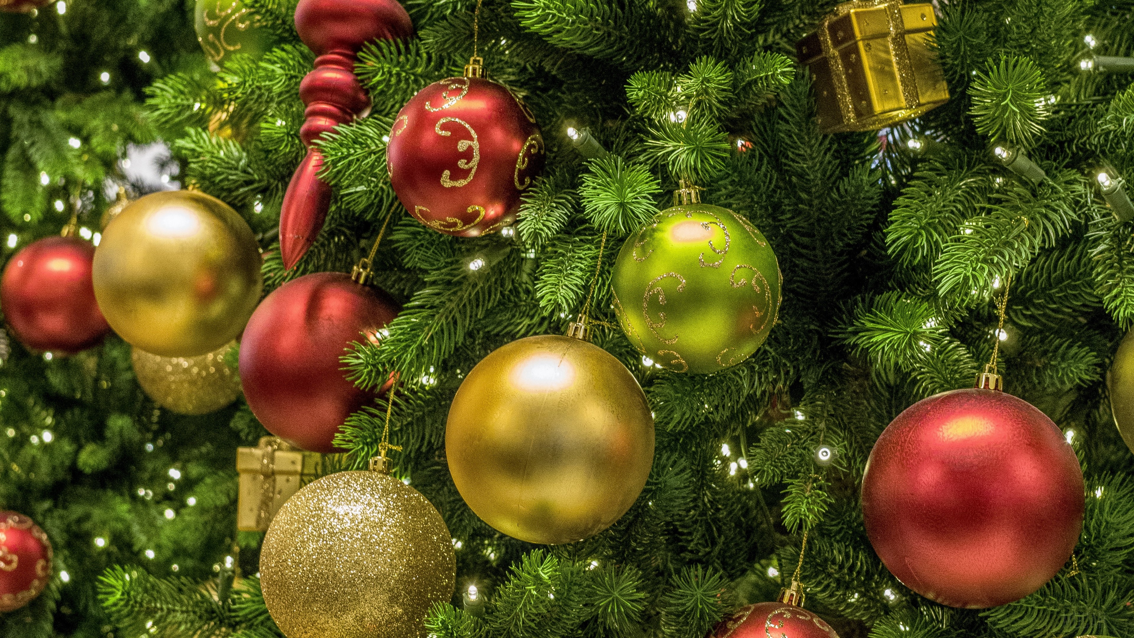 Christmas tree with red, gold, and green ornaments HD Wallpaper