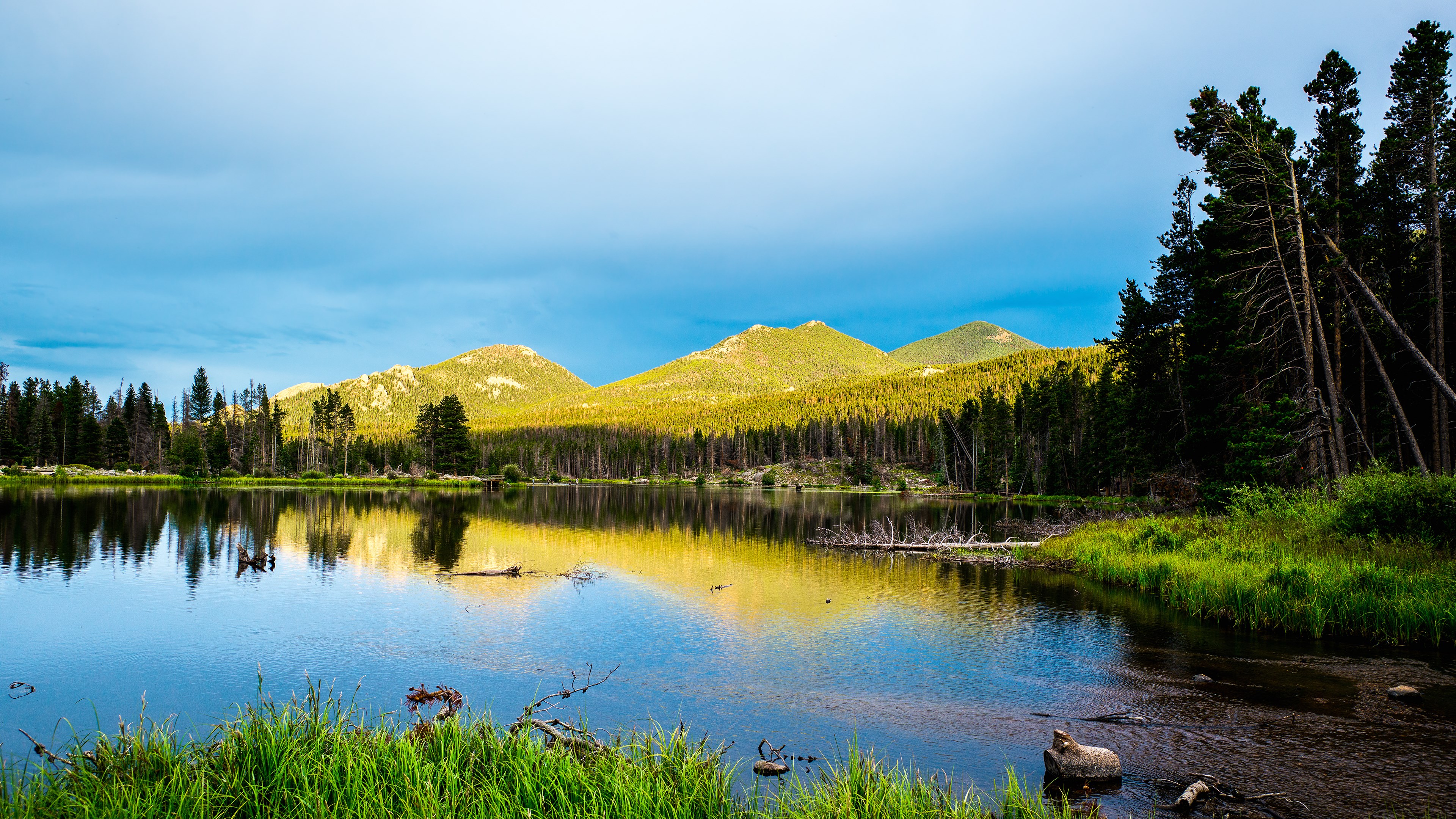 Lake reflecting mountains and pine forest HD Wallpaper