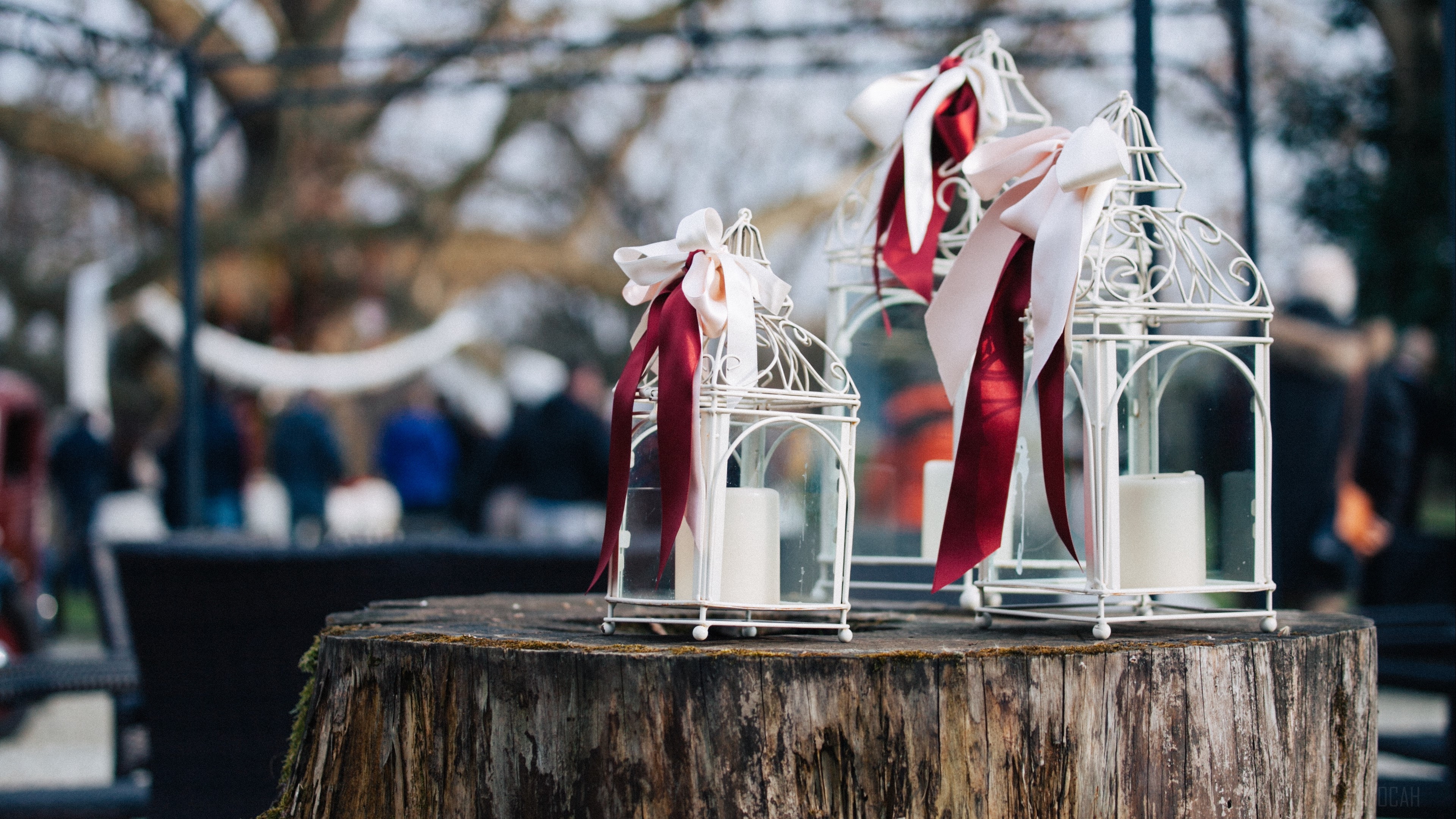 White lanterns with ribbons and candles on a tree stump HD Wallpaper