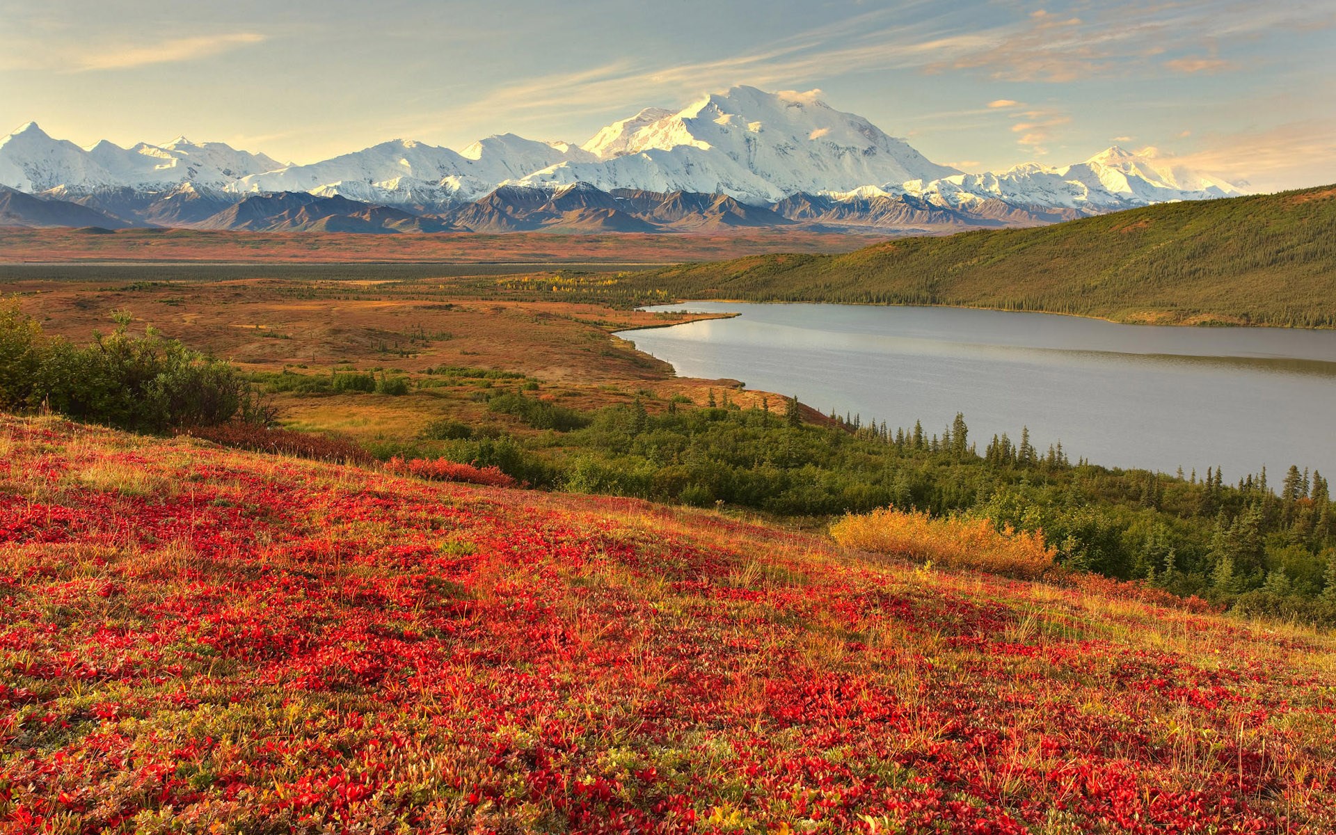 Denali National Park in Autumn HD Wallpaper