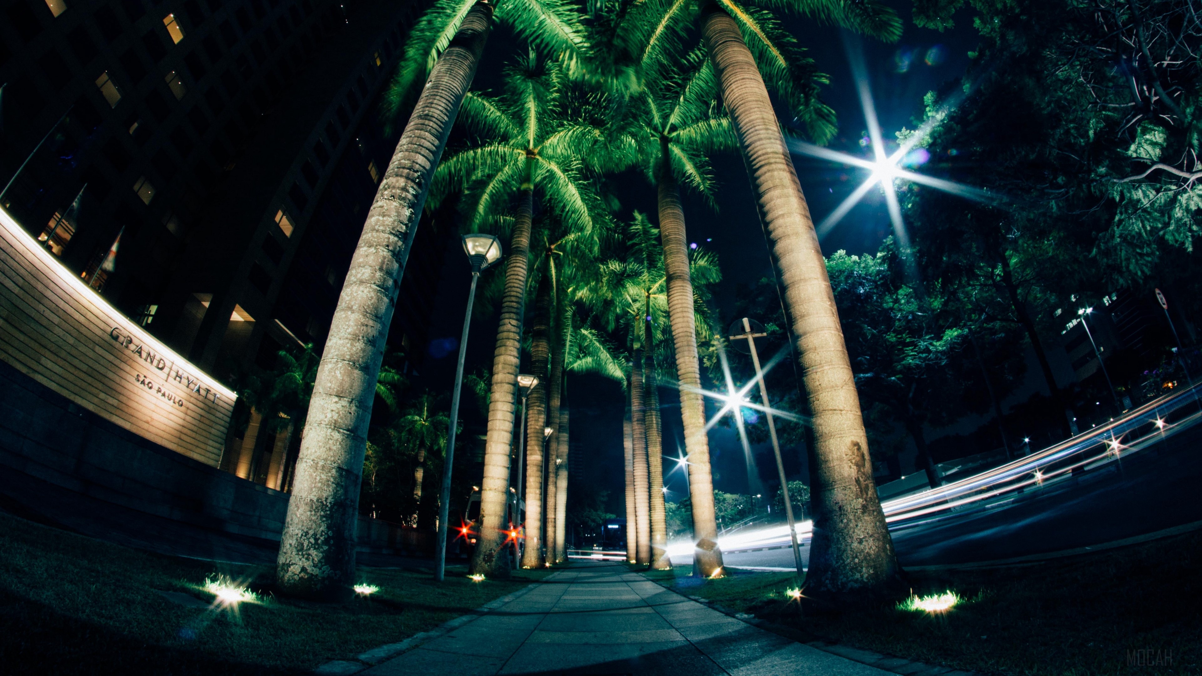 Grand Hyatt Sao Paulo at Night with Palm Trees HD Wallpaper