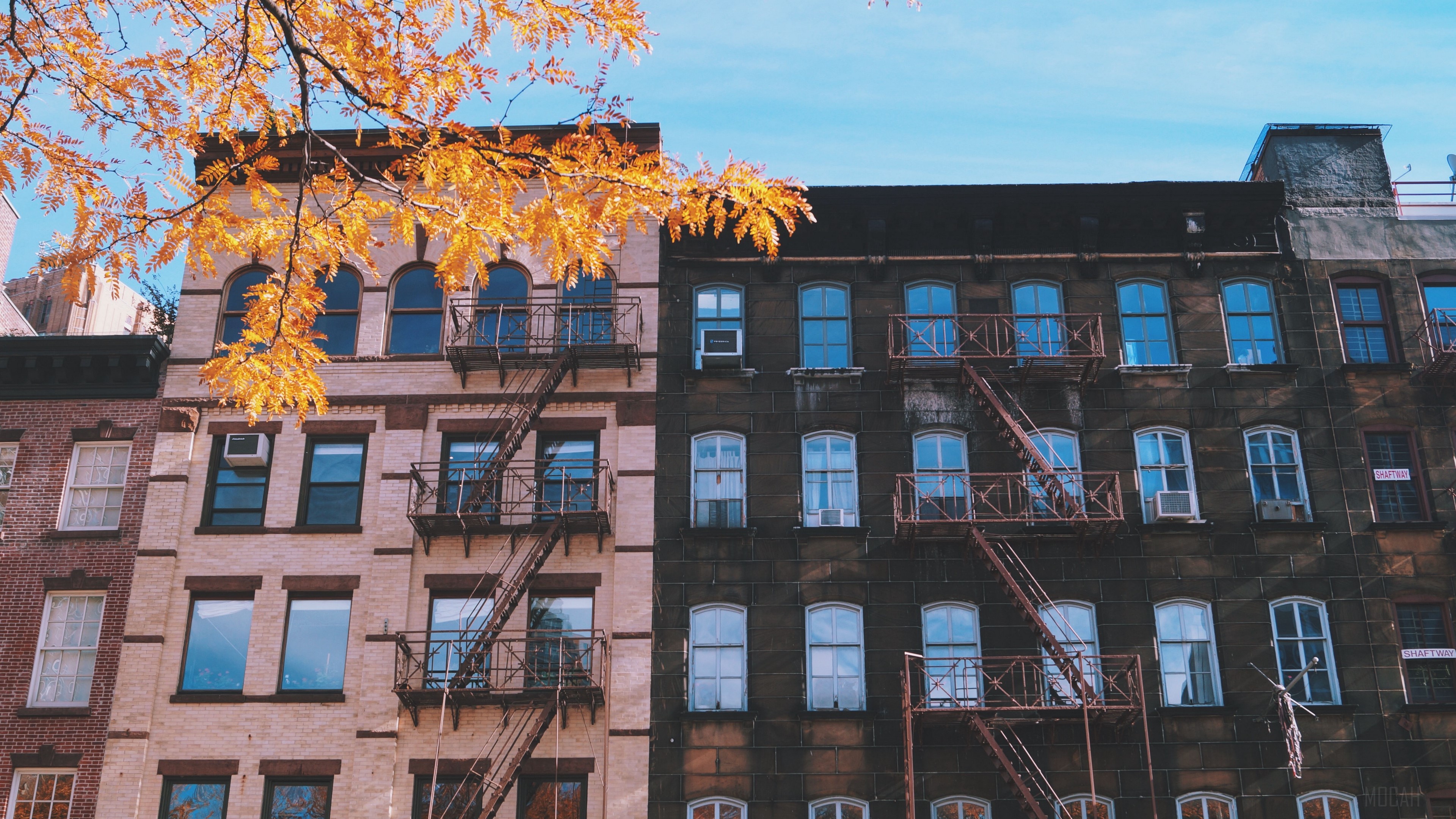 Apartment buildings with fire escapes in autumn HD Wallpaper