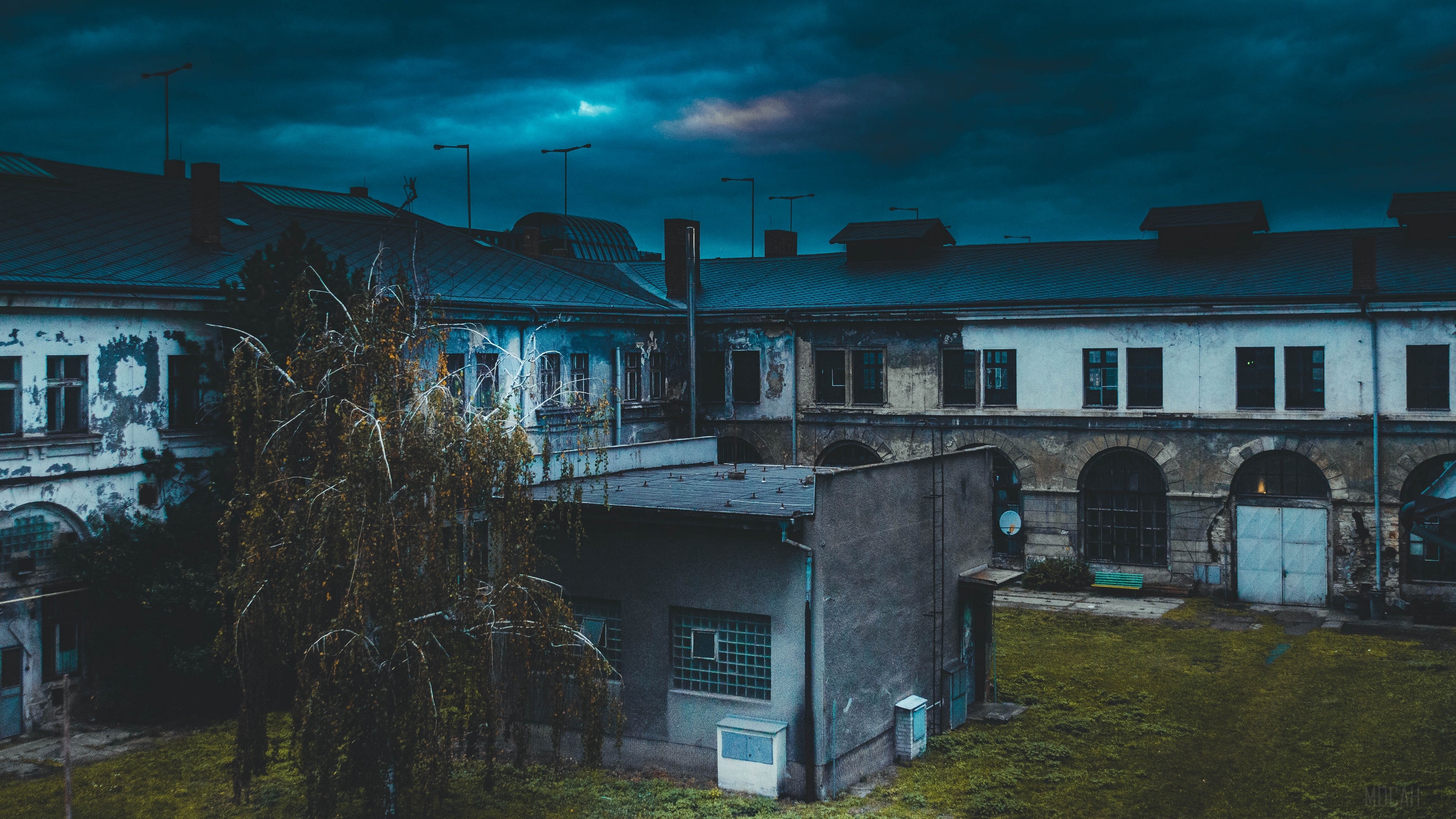 Old abandoned building with a tree in the foreground 4K HD Wallpaper