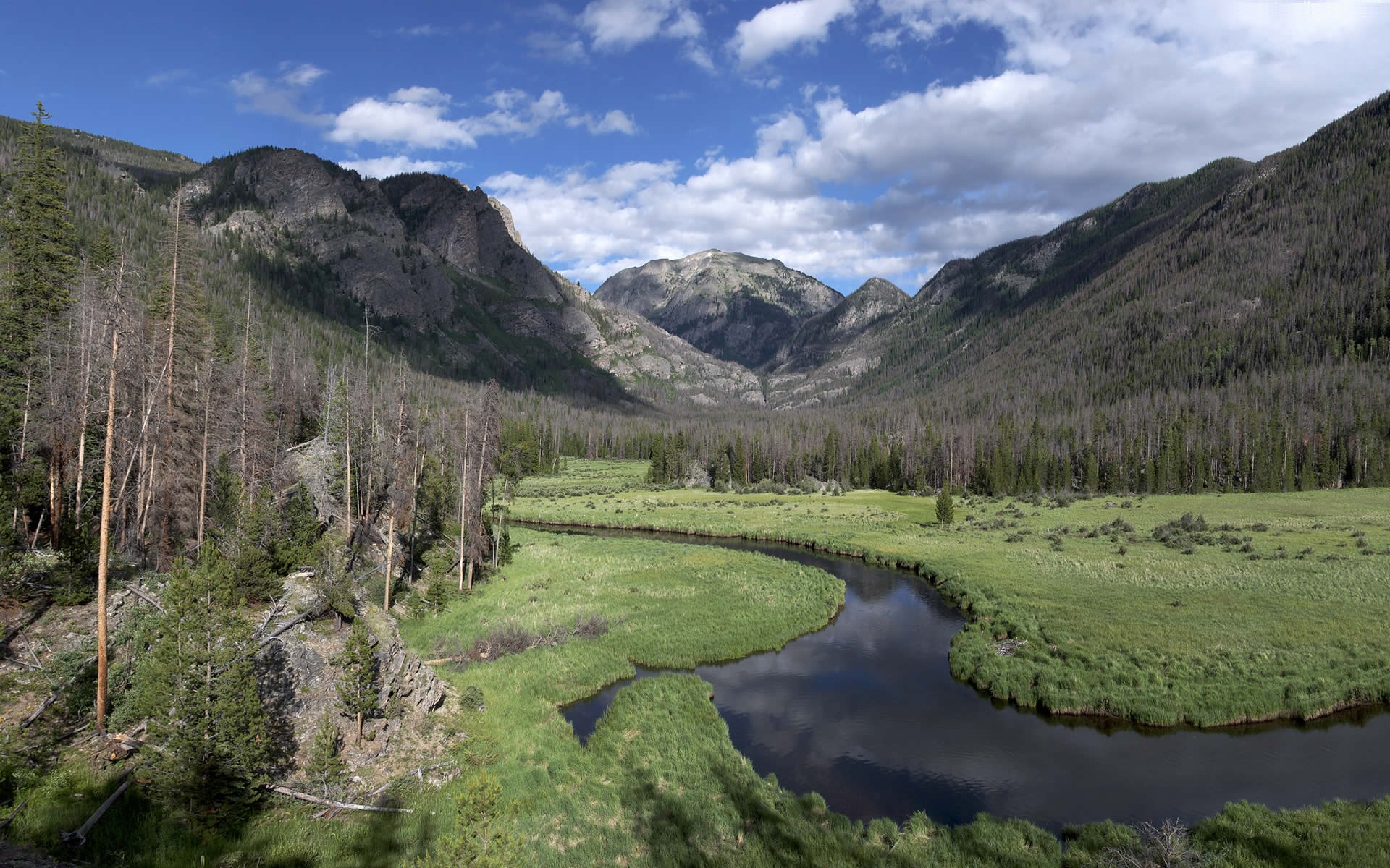 River valley with mountains and dead trees HD Wallpaper