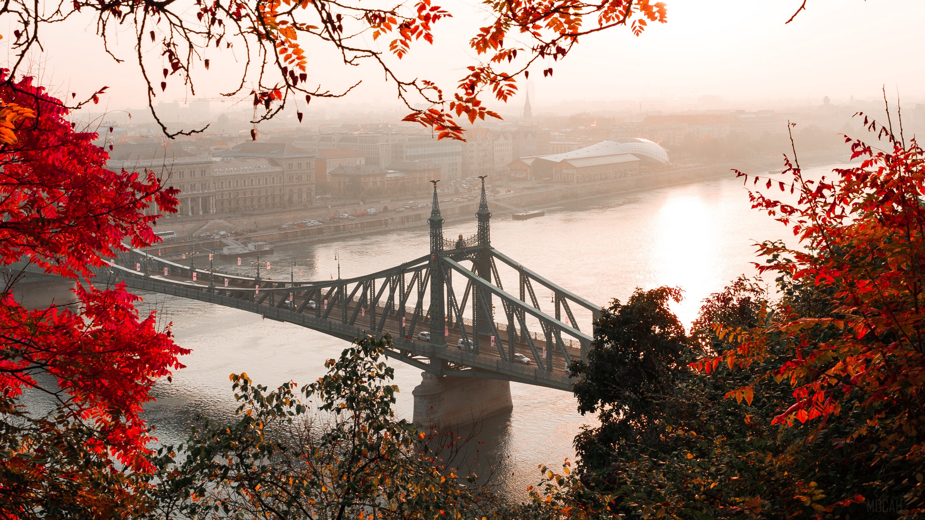 Liberty Bridge in Budapest, Hungary during Autumn 4K HD Wallpaper