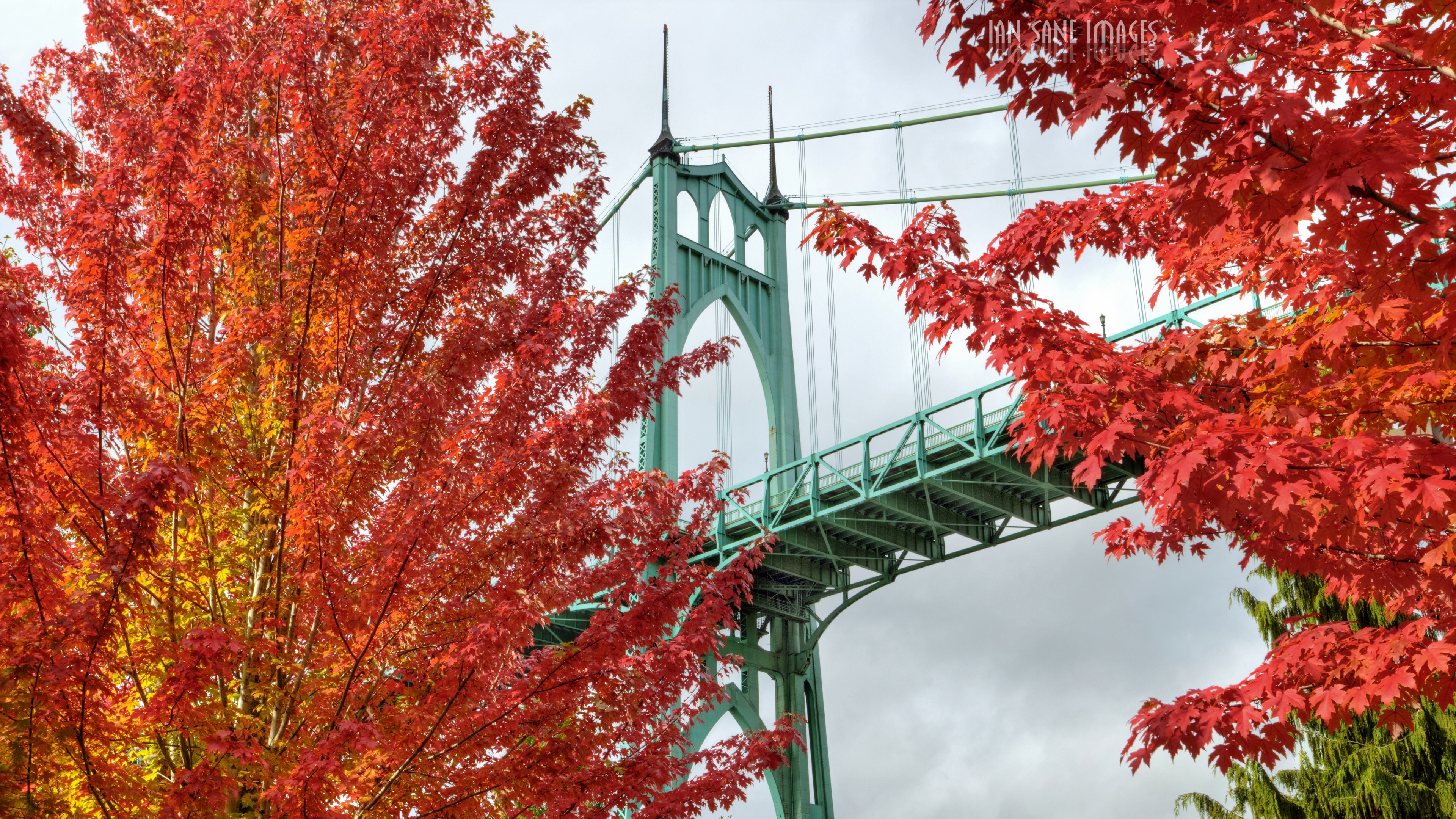 St. Johns Bridge in Portland, Oregon during Autumn 4K HD Wallpaper