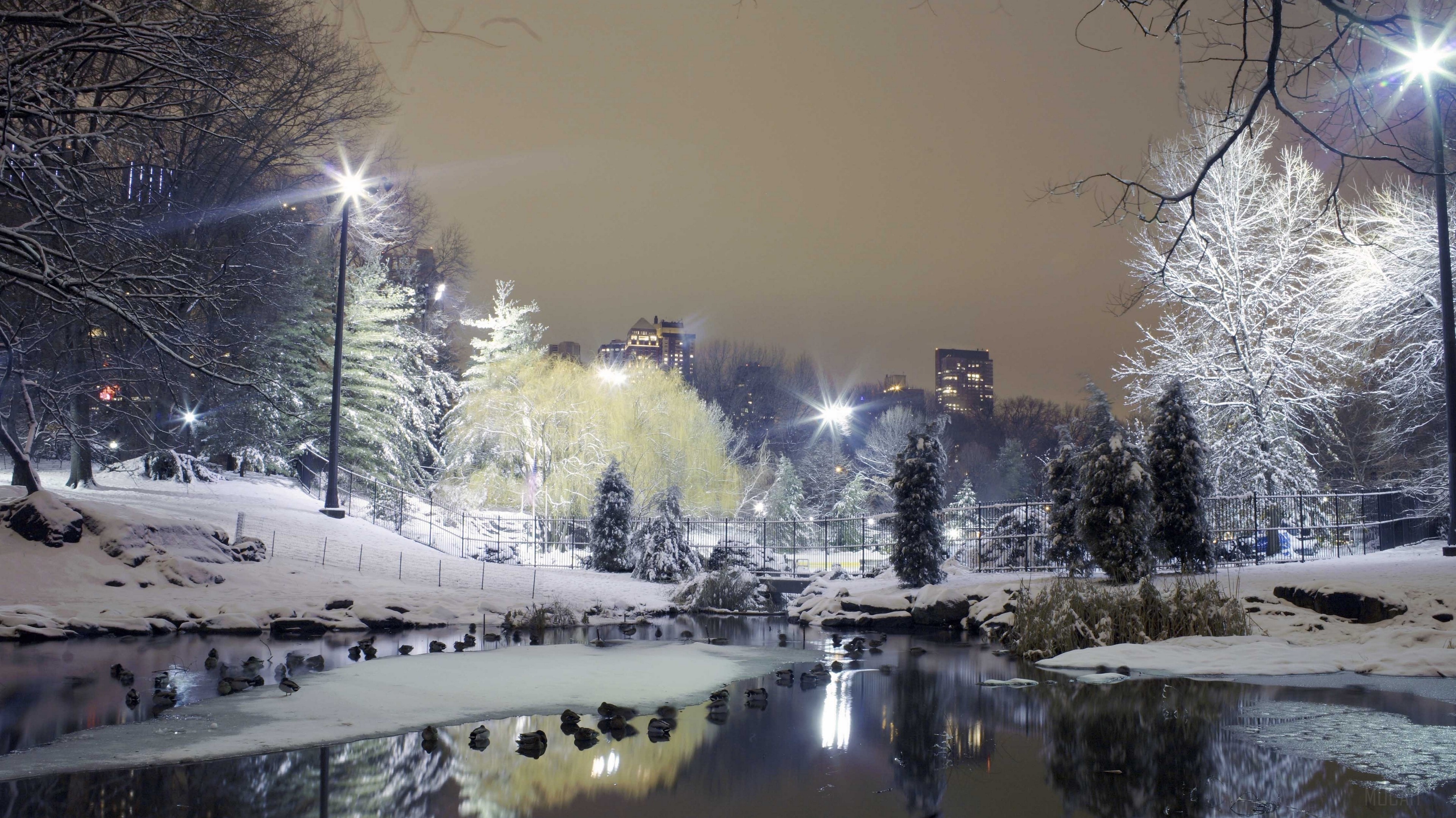 Winter park at night with snow and city lights 4K HD Wallpaper