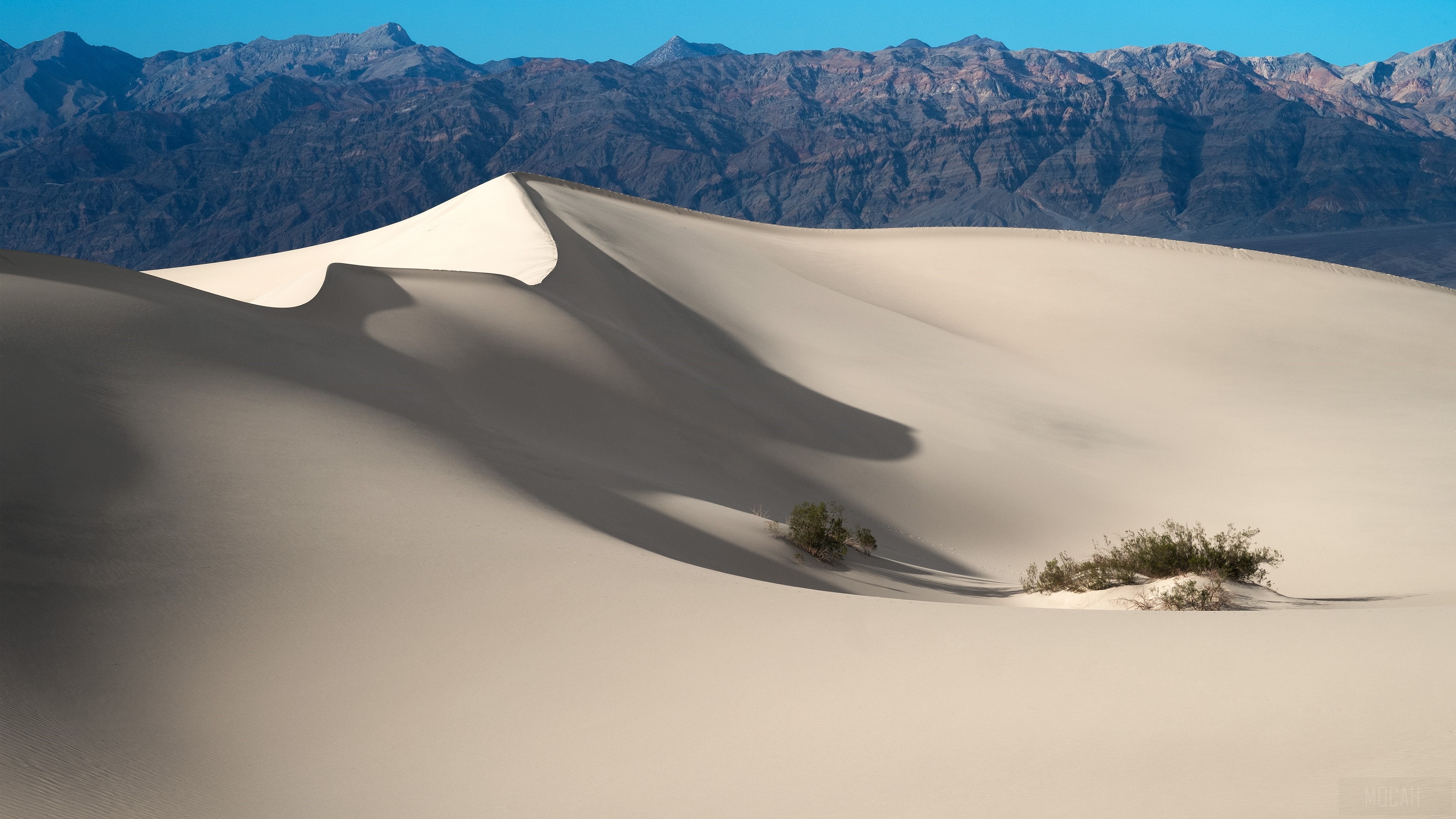 Sand Dunes and Mountains in Death Valley National Park 4K HD Wallpaper